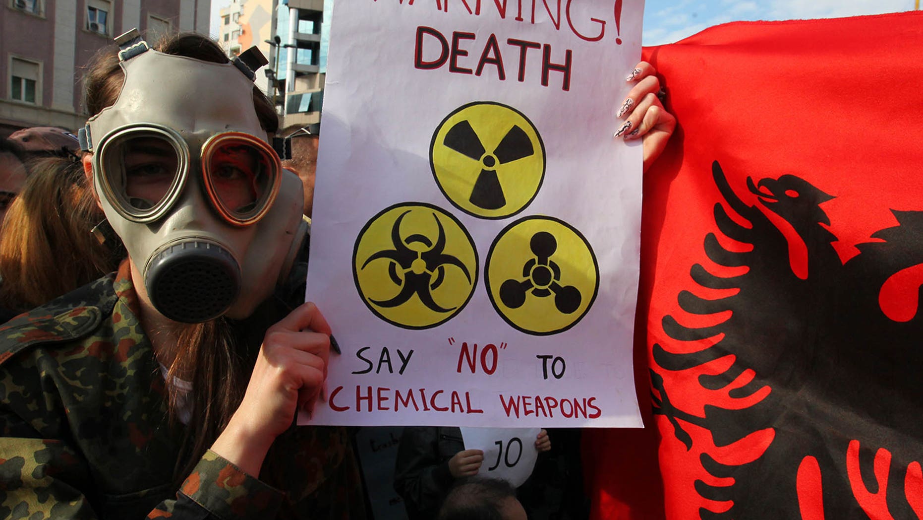 Nov. 14, 2013 - An Albanian student wears a gas mask and holds a sign during a protest against the dismantling of Syrian chemical weapons in Albania at the Prime Minister's office in Tirana.