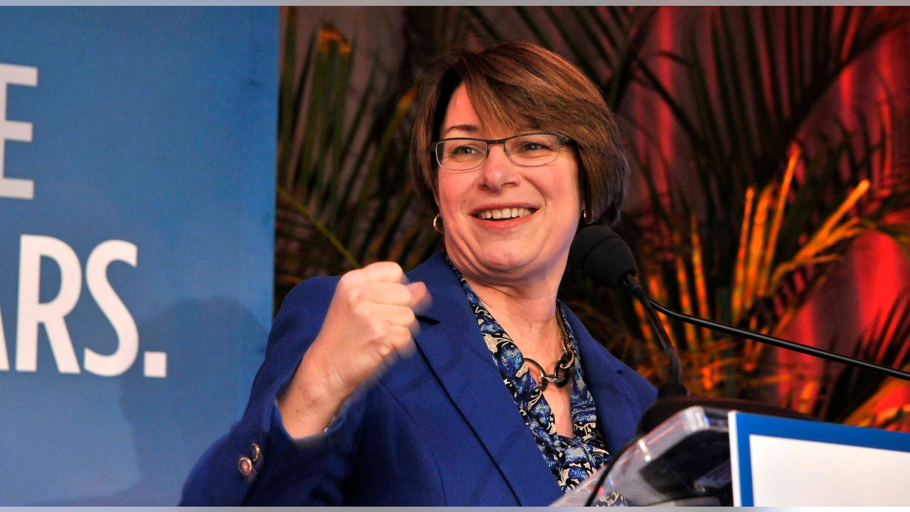 WASHINGTON, DC - MARCH 03: Senator Amy Klobuchar speaks at EMILY's List 30th Anniversary Gala at Washington Hilton on March 3, 2015 in Washington, DC. (Photo by Kris Connor/Getty Images for EMILY's List)