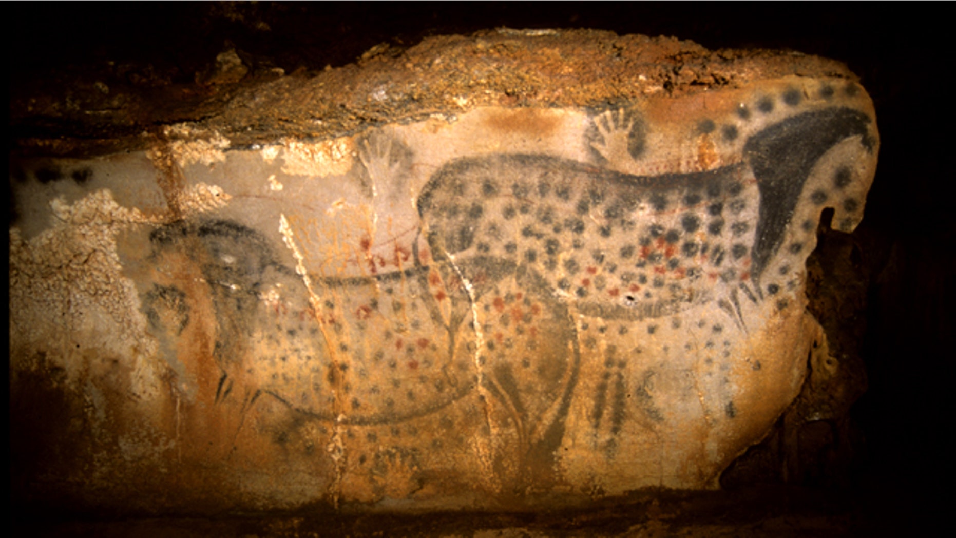 This undated photo provided by the Pech Merle Prehistory Center shows a cave painting of pair of spotted horses, found in the Pech Merle Cave in Cabrerets, southern France. Scientists estimate the drawing, measuring about 4 meters wide by 1.5 meters high, is about 25,000 years old.