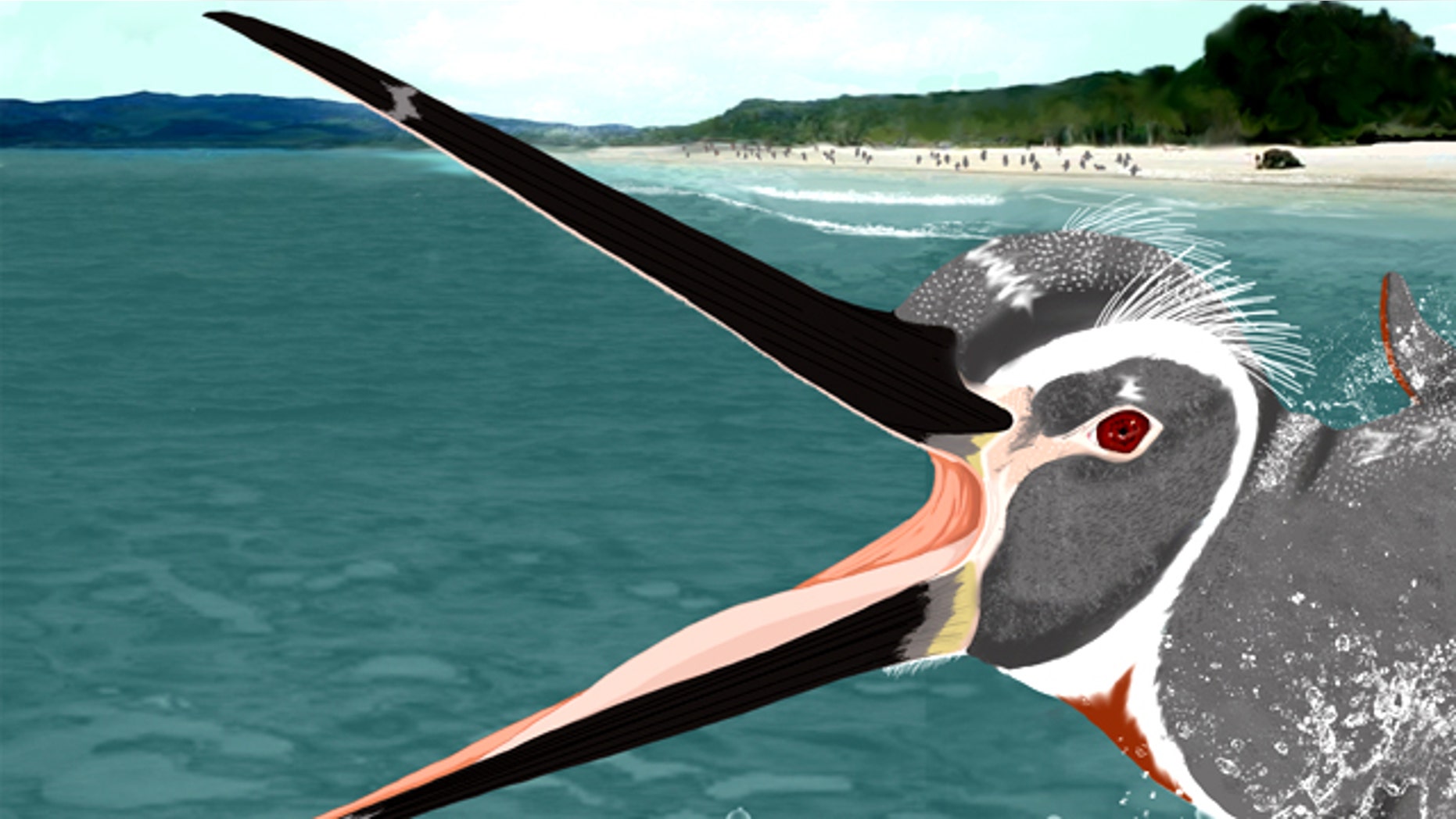 An artist's reconstruction of Inkayacu paracasensis -- a giant, colorful penguin relative.