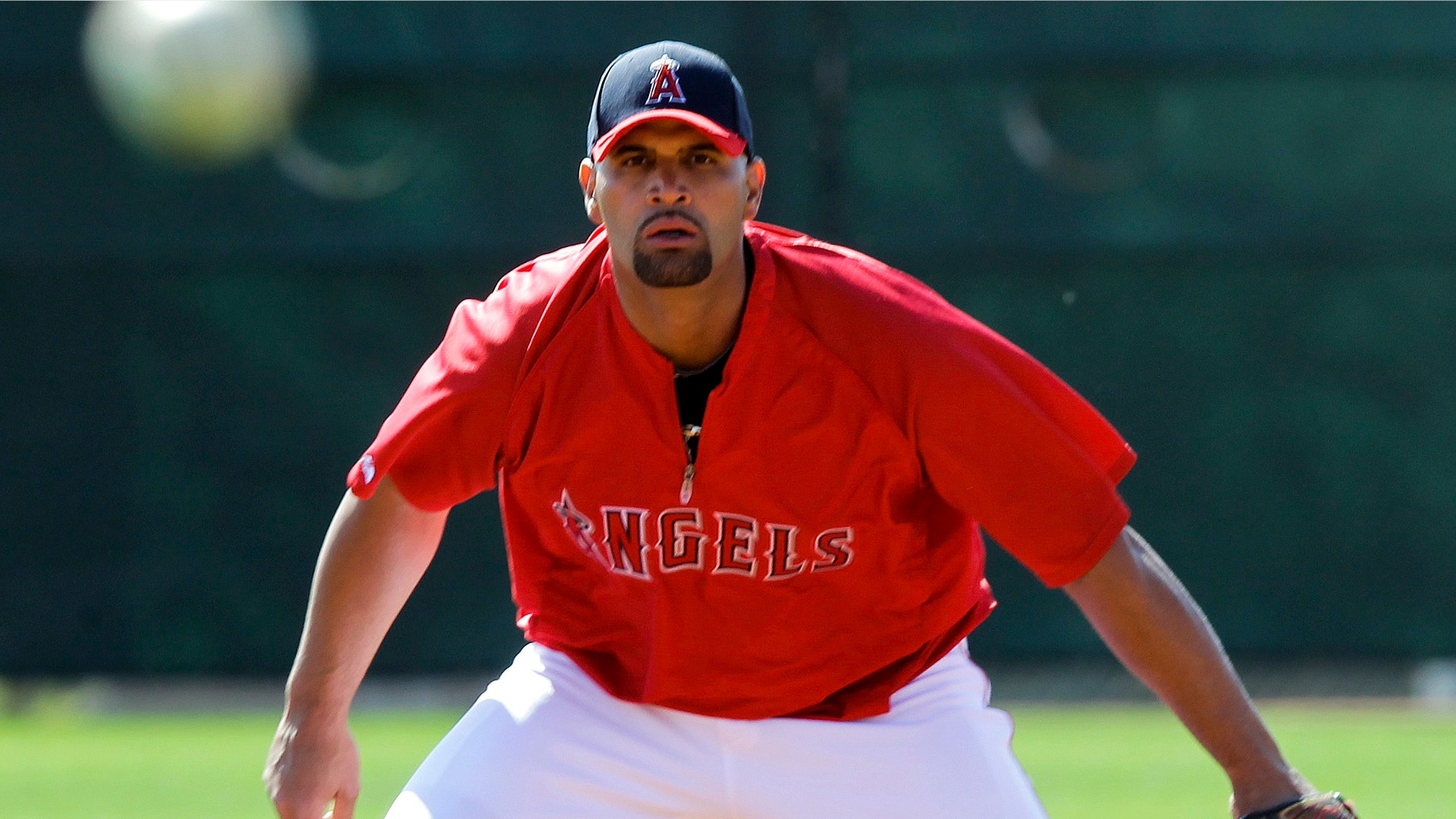 Albert Pujols fields a ground ball during a baseball spring training workout Friday, March 2, 2012, in Tempe, Ariz. (AP Photo/Morry Gash)