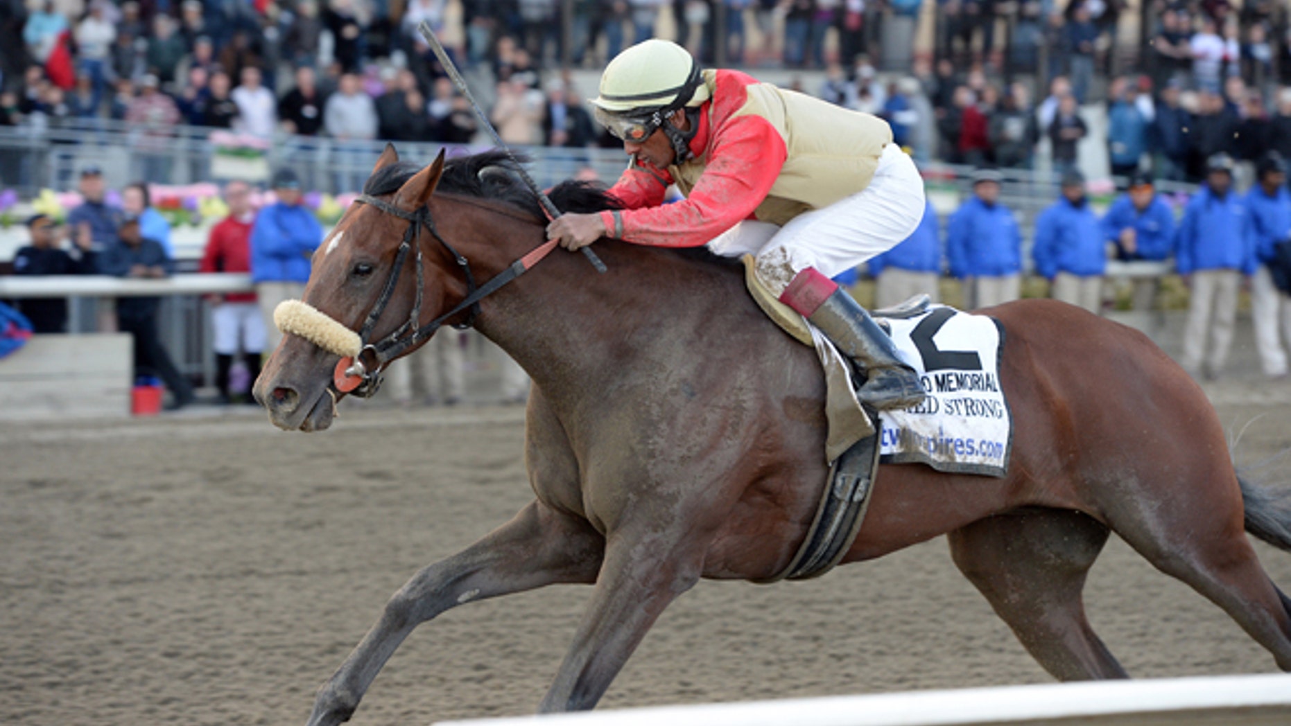 Wicked Strong, with Rajiv Maragh aboard, captures The Wood Memorial Stakes horse race Saturday, April 5, 2014.