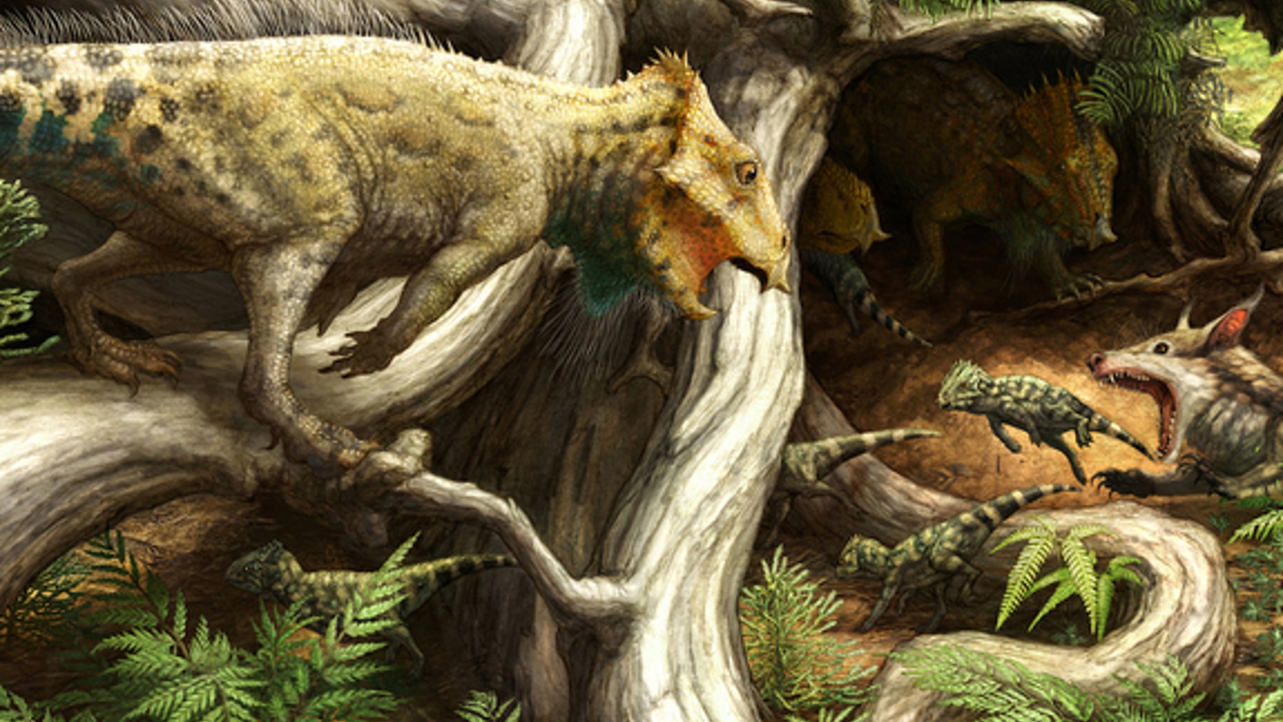 An artist's interpretation of Aquilops americanus with its young in Montana during the Early Cretaceous period, about 107 million years ago.
