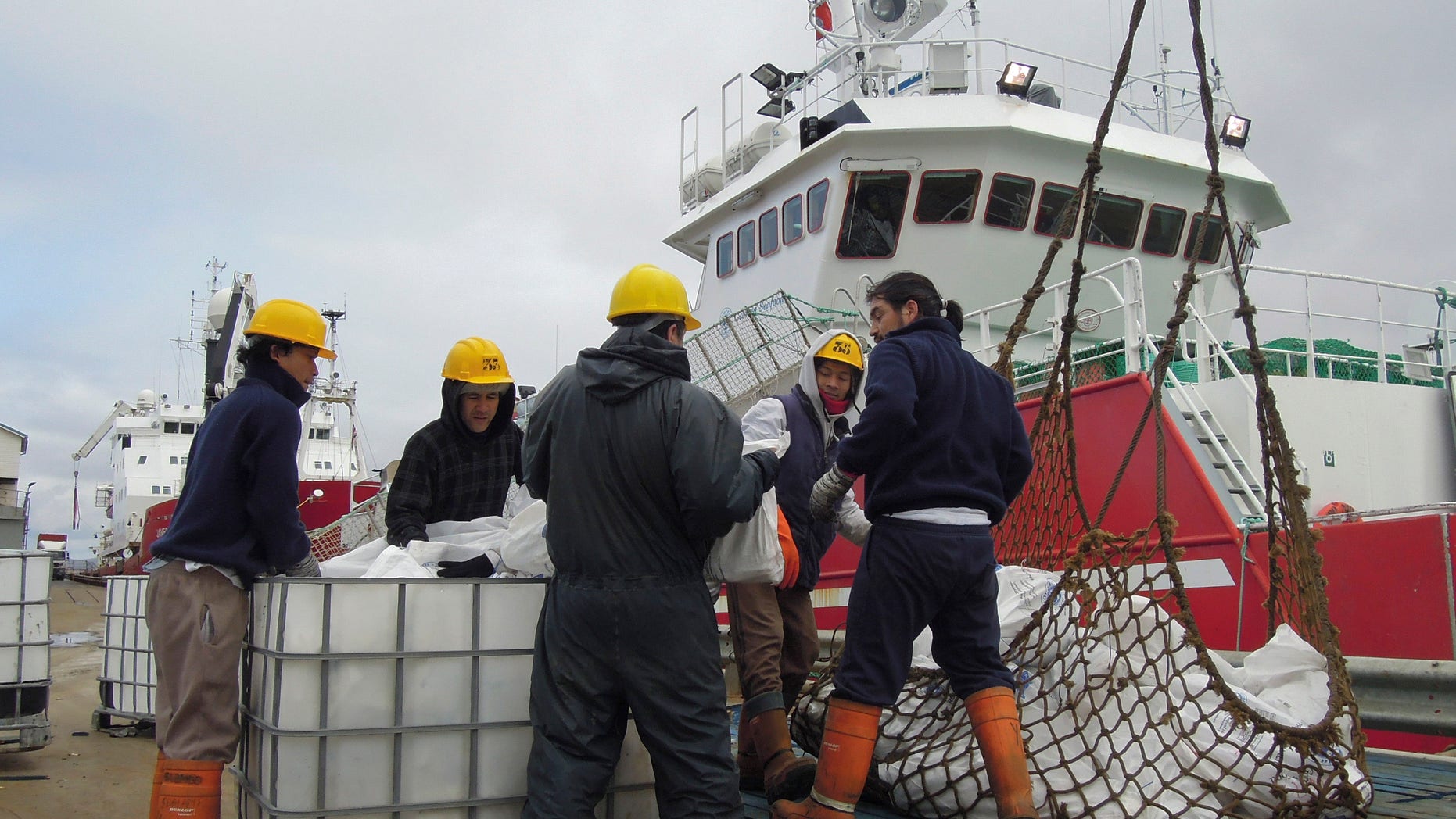 In this March 14, 2013 photo, workers offload fish from a fishing ship in Port Stanley, Falklands Islands.