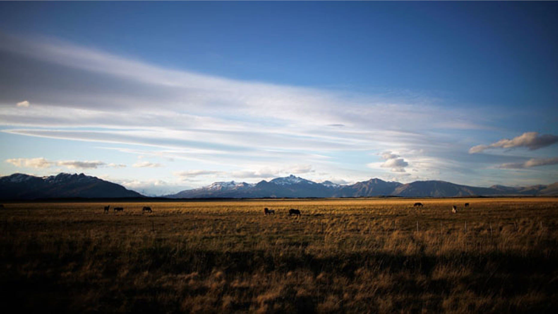 SANTA CRUZ PROVINCE, ARGENTINA - NOVEMBER 27: Horses stand outside Los Glaciares National Park, part of the Southern Patagonian Ice Field, the third largest ice field in the world, on November 27, 2015 in Santa Cruz Province, Argentina. The majority of the almost fifty large glaciers in the park have been retreating over the past fifty years due to warming temperatures, according to the European Space Agency (ESA). The United States Geological Survey reports that over 68 percent of the world's freshwater supplies are locked in icecaps and glaciers. The United Nations climate change conference begins November 30 in Paris. (Photo by Mario Tama/Getty Images)