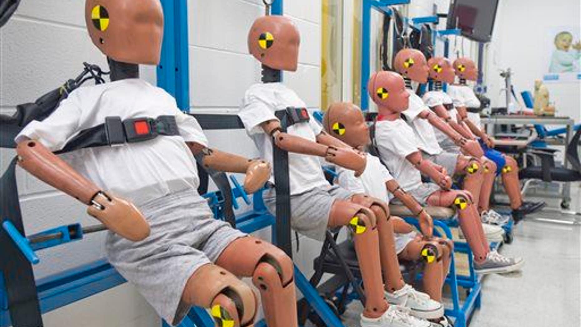 A "family" of test dummies, in this 2014 file photo, at Dorel Juvenile Group in Columbus, Ind., allows technicians to study impact data for various age ranges.