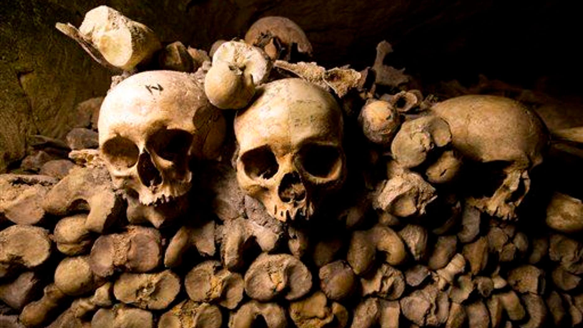 In this photo taken Tuesday, Oct. 14, 2014, skulls and bones are stacked in the Catacombs of Paris, France. A Roman site in the country's southwest revealed five skeletons in shackles.
