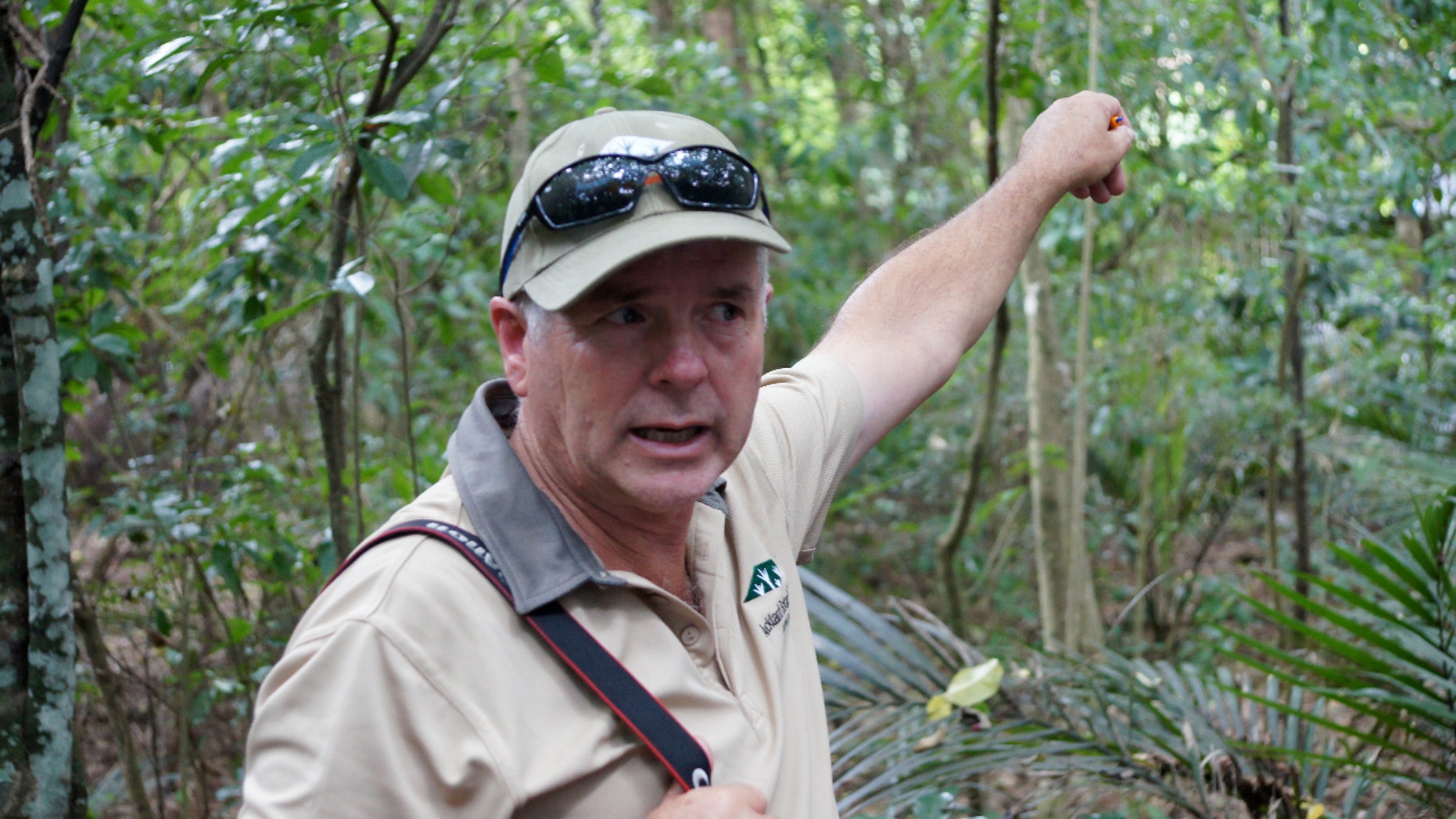Auckland Botanic Gardens Director Jack Hobbs in forest