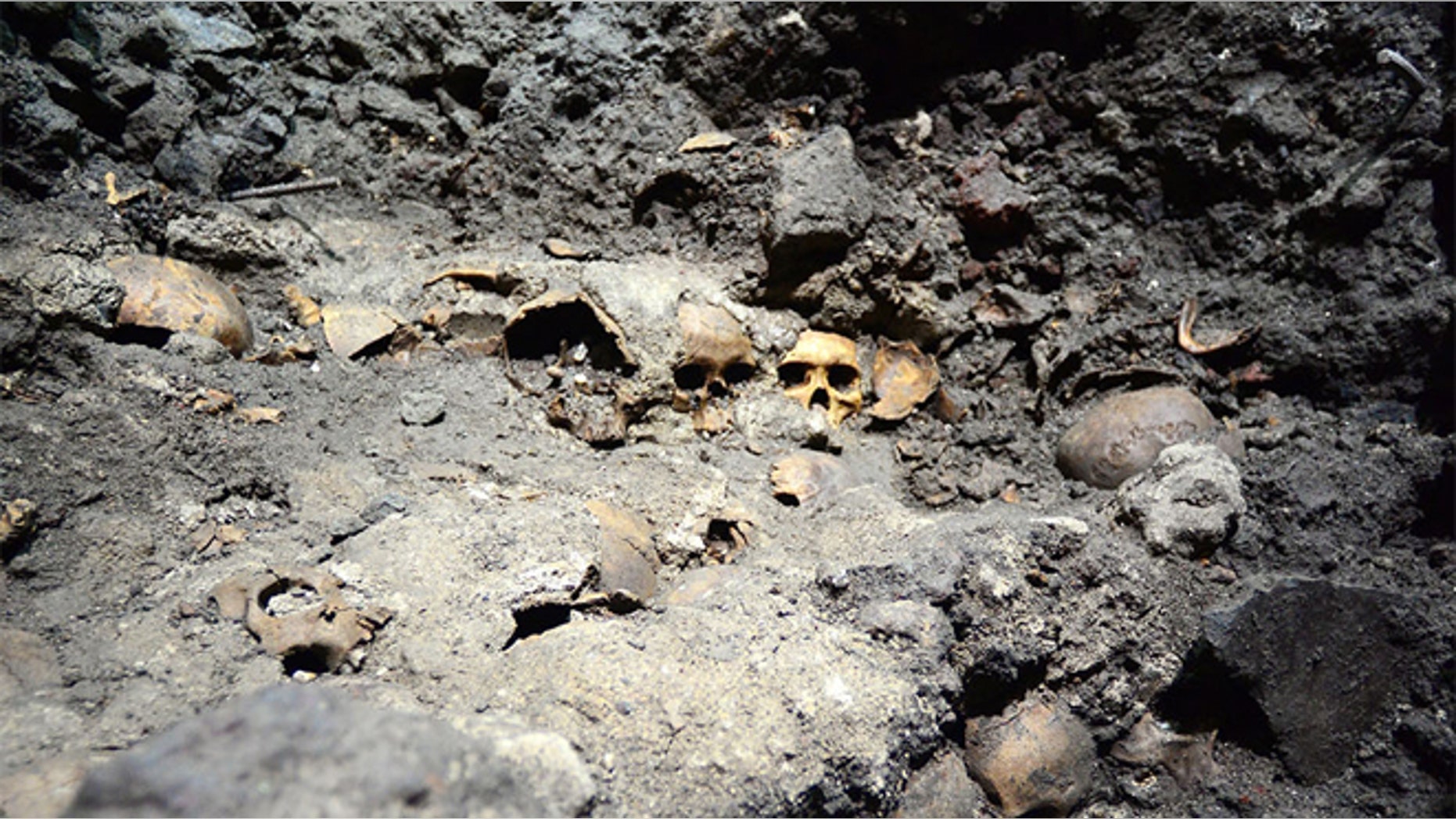 In this May 30, 2015 photo released by Mexico's National Institute of Anthropology and History (INAH), skulls are partially unearthed at the Templo Mayor Aztec ruin site in Mexico City. (Hector Montano/INAH via AP)