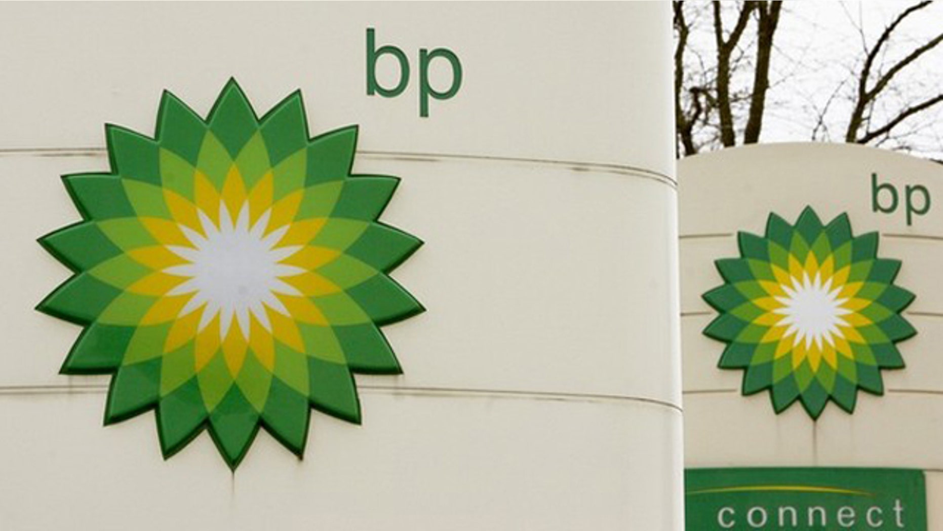 BP logos are seen at a one of the company's petrol stations in Grangemouth, Scotland in this April 29, 2008 file photo.