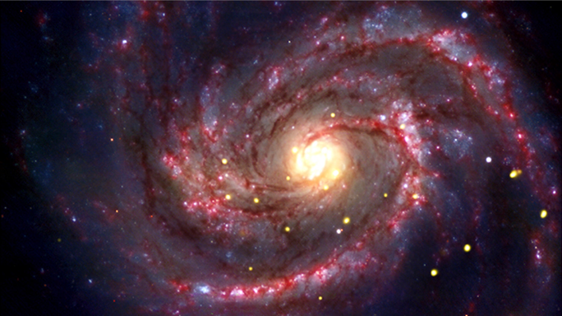 This composite image provided by NASA, taken by NASA's Chandra X-ray Observatory and other telescopes, shows a galaxy where a recent supernova probably resulted in a black hole in the bright white dot near the bottom-middle of the picture.