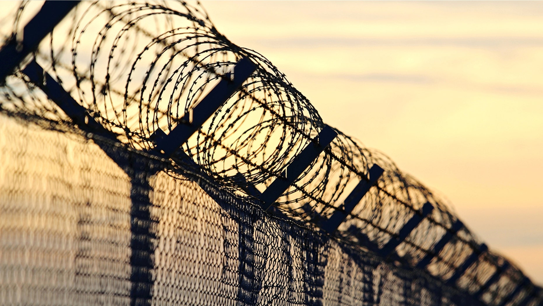 barbed wire steel wall against the immigrations in europe