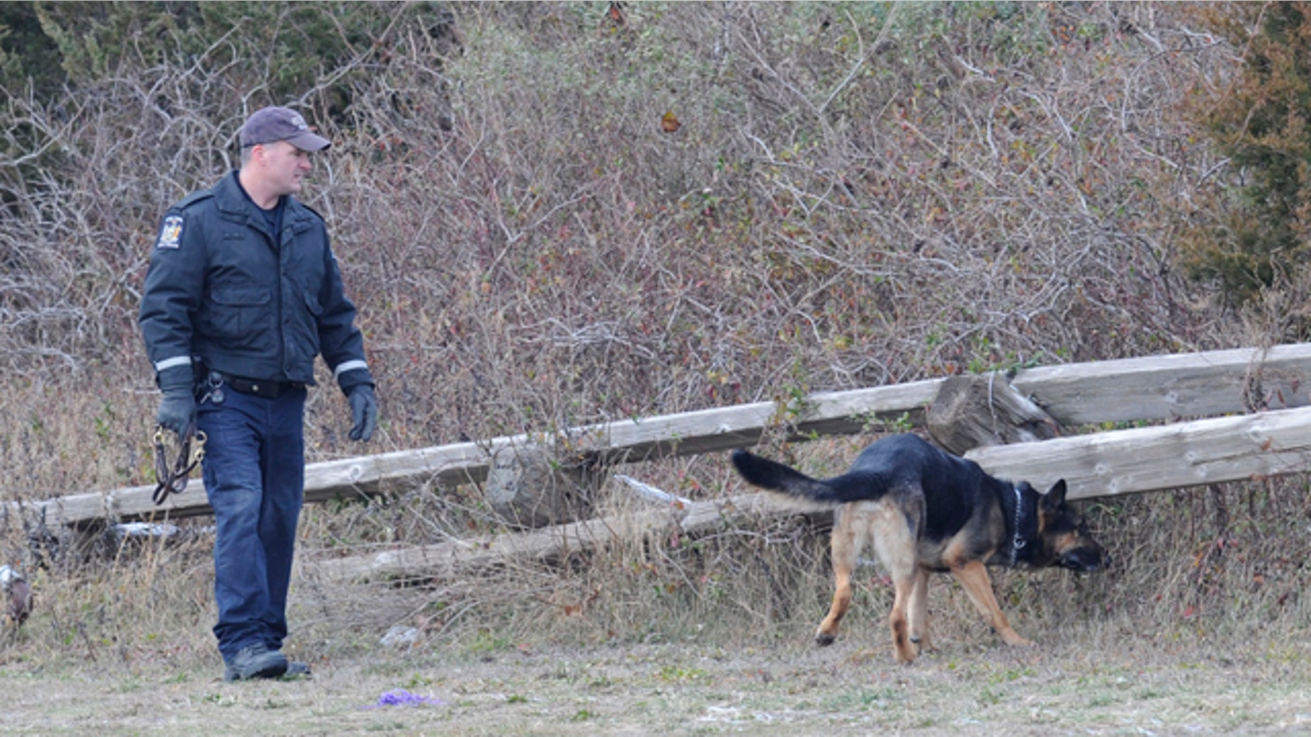 Dec. 16, 2010: A cadaver dog searches an area in Oak Beach on New York’s Long Island while authorities continue to search a 10-mile stretch of beach where four bodies have been discovered.