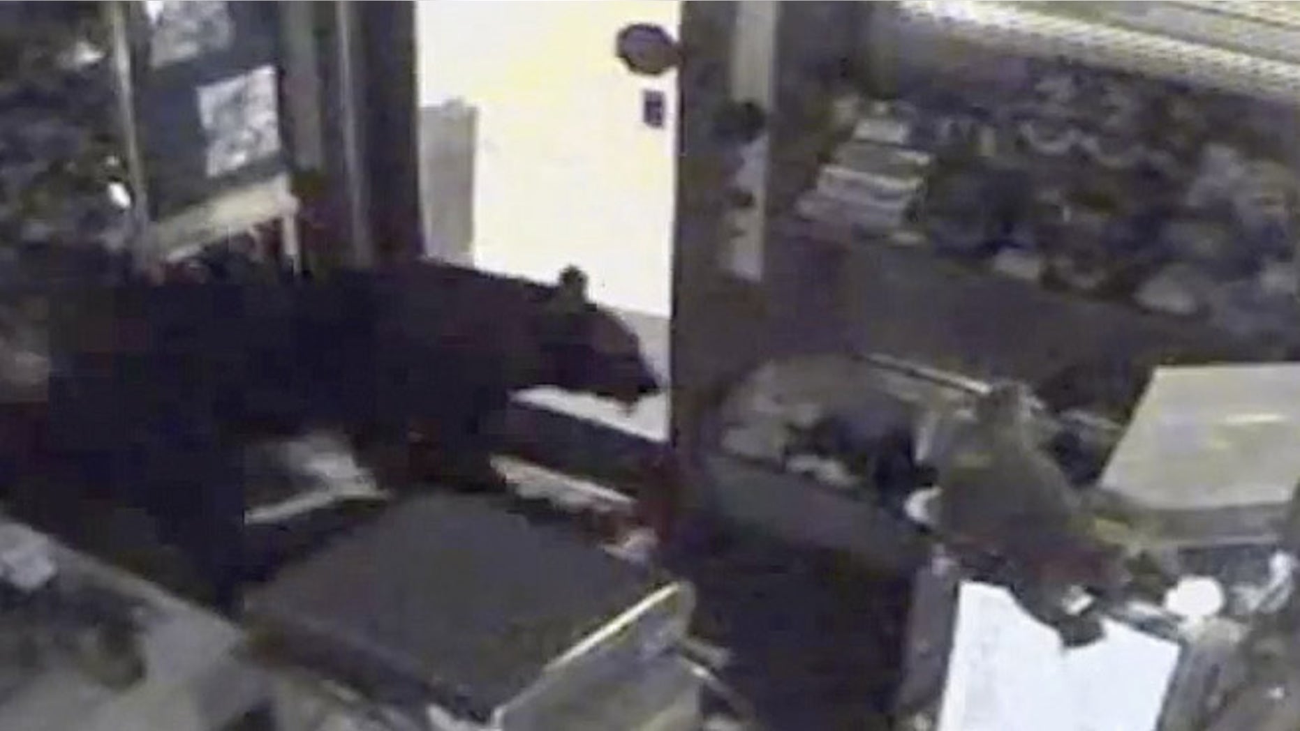 July 25, 2012: This image provided by Rocky Mountain Chocolate Factory taken from surveillance video shows a bear leaving the Rocky Mountain Chocolate Factory store in Estes Park, Colo.