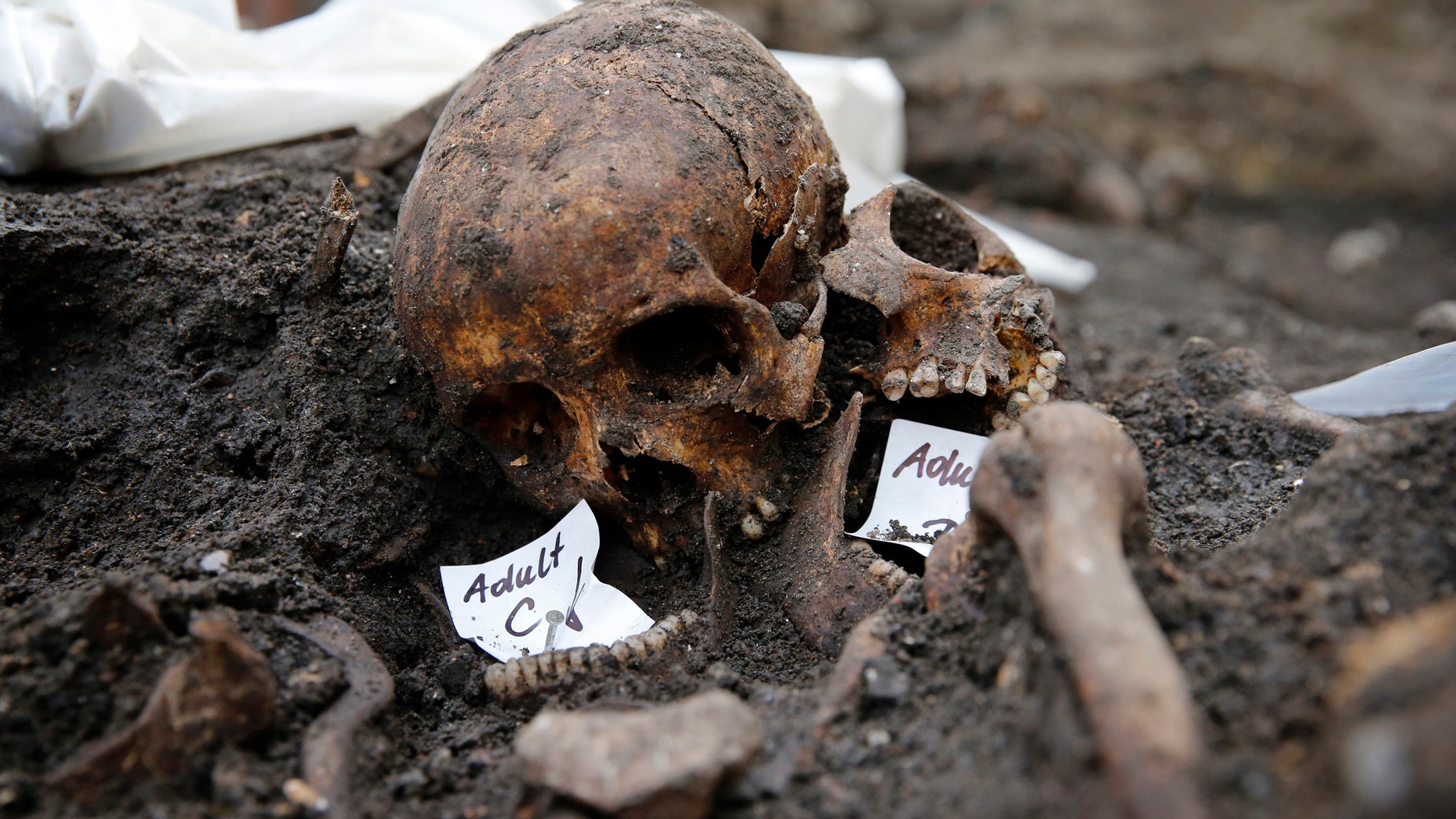 Skeletons found in the Bedlam burial ground on the future site of a Crossrail ticket hall are seen next to Liverpool Street Station in London.