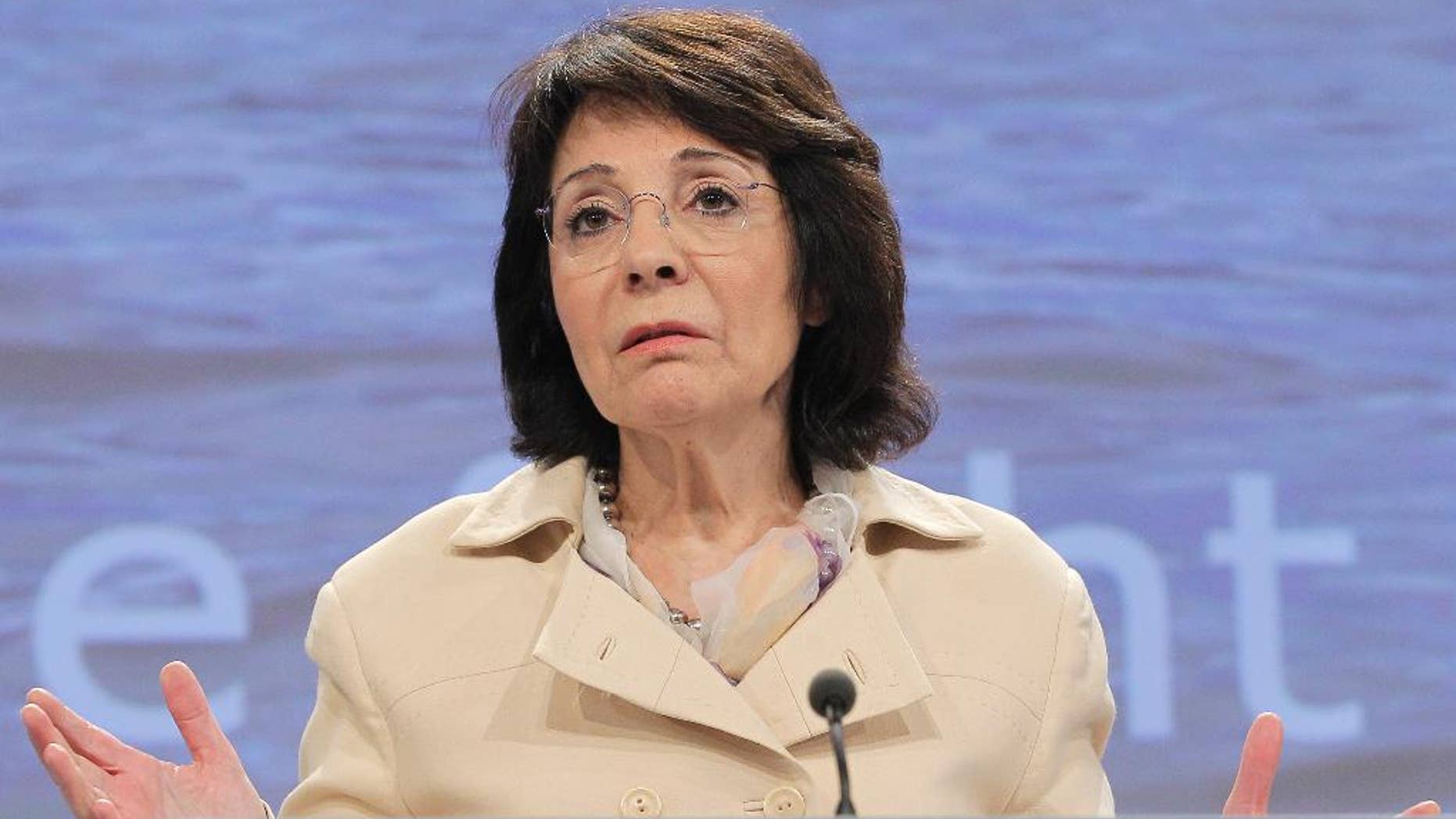 In this Tuesday, Nov. 26, 2013 file photo, European Commissioner for Fisheries and Maritime Affairs Maria Damanaki addresses the media at the European Commission headquarters in Brussels. The European Union’s executive has proposed to ban the use of driftnets in EU waters and on its vessels anywhere by year’s end, to better enforce the protection of dolphins and other sea mammals, sea turtles and sea birds. (AP Photo/Yves Logghe, file)
