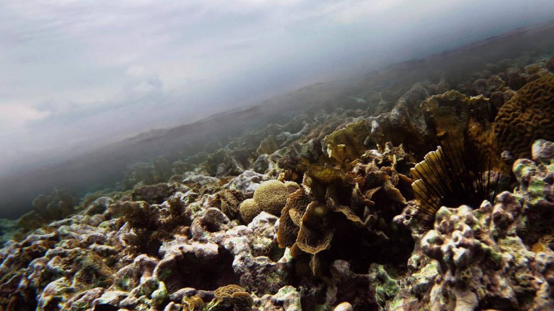 FILE - This March 2009 file photo, shows coral underwater where a thin line of clear Caribbean ocean separates it from the clouds near the second largest barrier reef that runs along the coast of Belize. Belize is considering new offshore drilling regulations that could open up nearly the entire coast to exploration and exploitation, environmental groups have warned, calling it a threat to vital reefs, fisheries and tourism concerns. Belize currently has a moratorium on offshore drilling. "They've declared open-season on almost 99 percent of Belize's marine area," Janelle Chanona, Oceana's vice president for the Central American nation, said on Thursday, May 7, 2015 from the capital, Belmopan. (AP Photo/Pat Wellenbach, File)