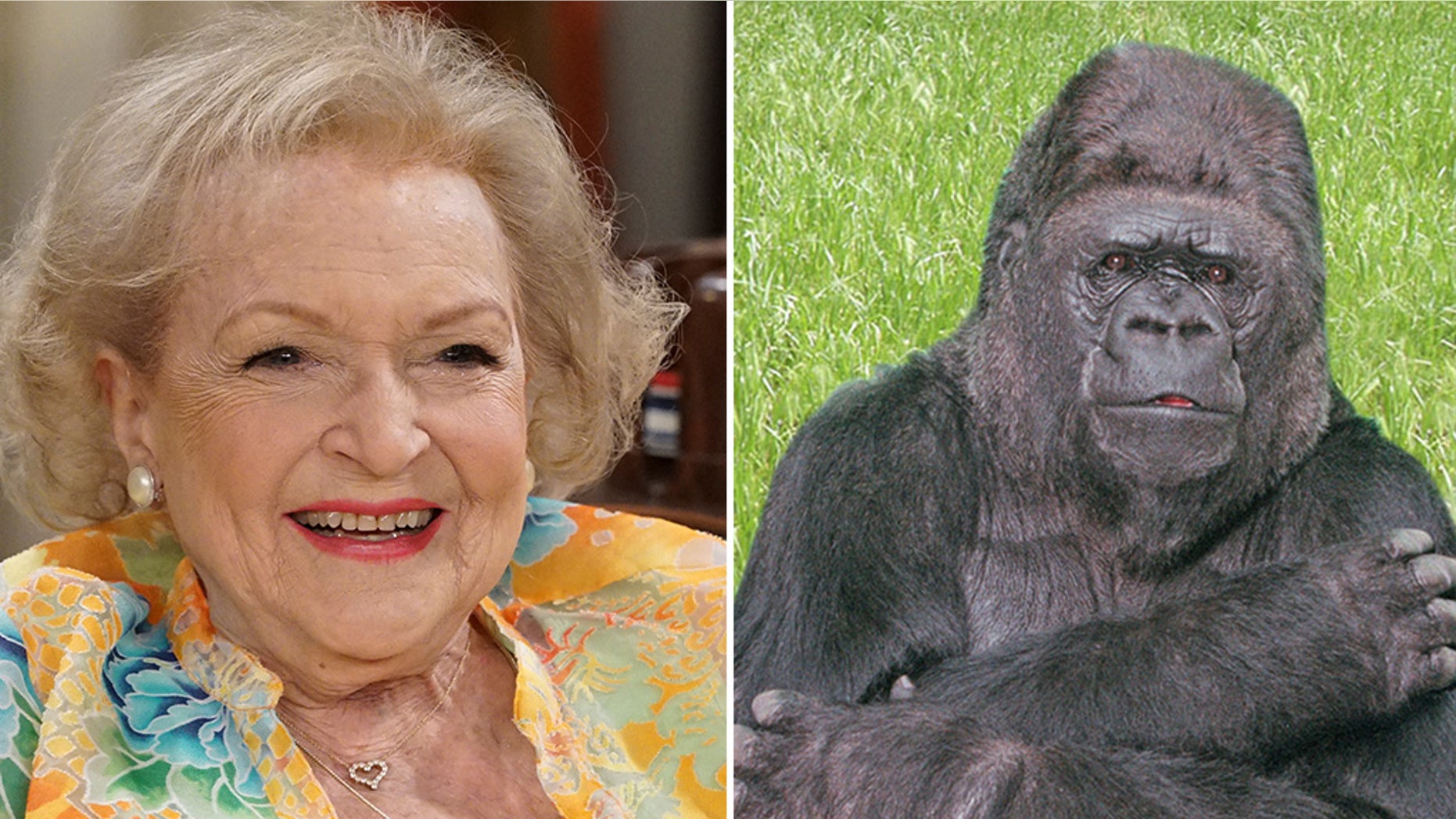 Betty White publicly mourned the loss of Koko the gorilla.