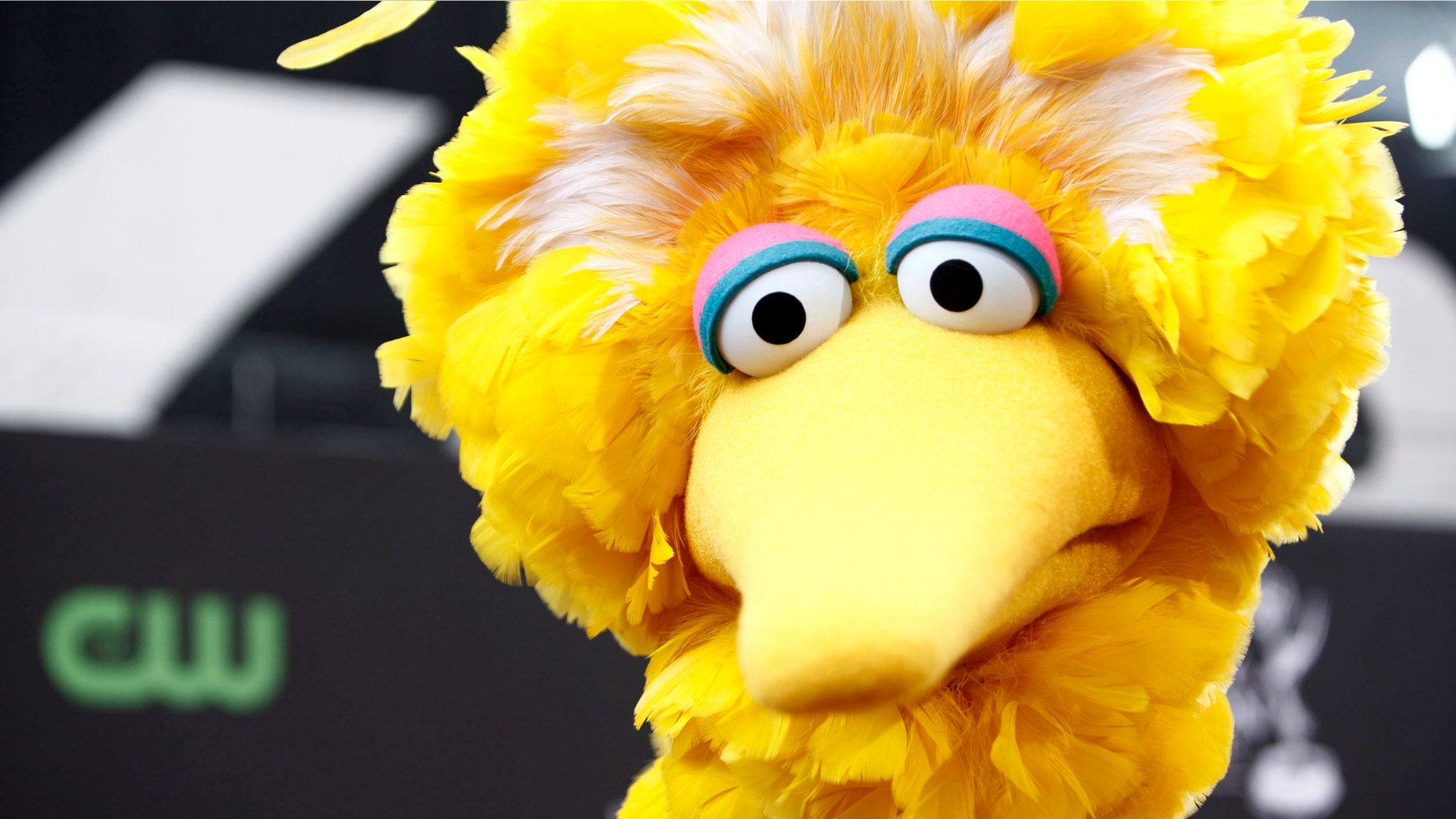 Big Bird, of the children's television show Sesame Street, in Los Angeles. (AP Photo/Matt Sayles, File)