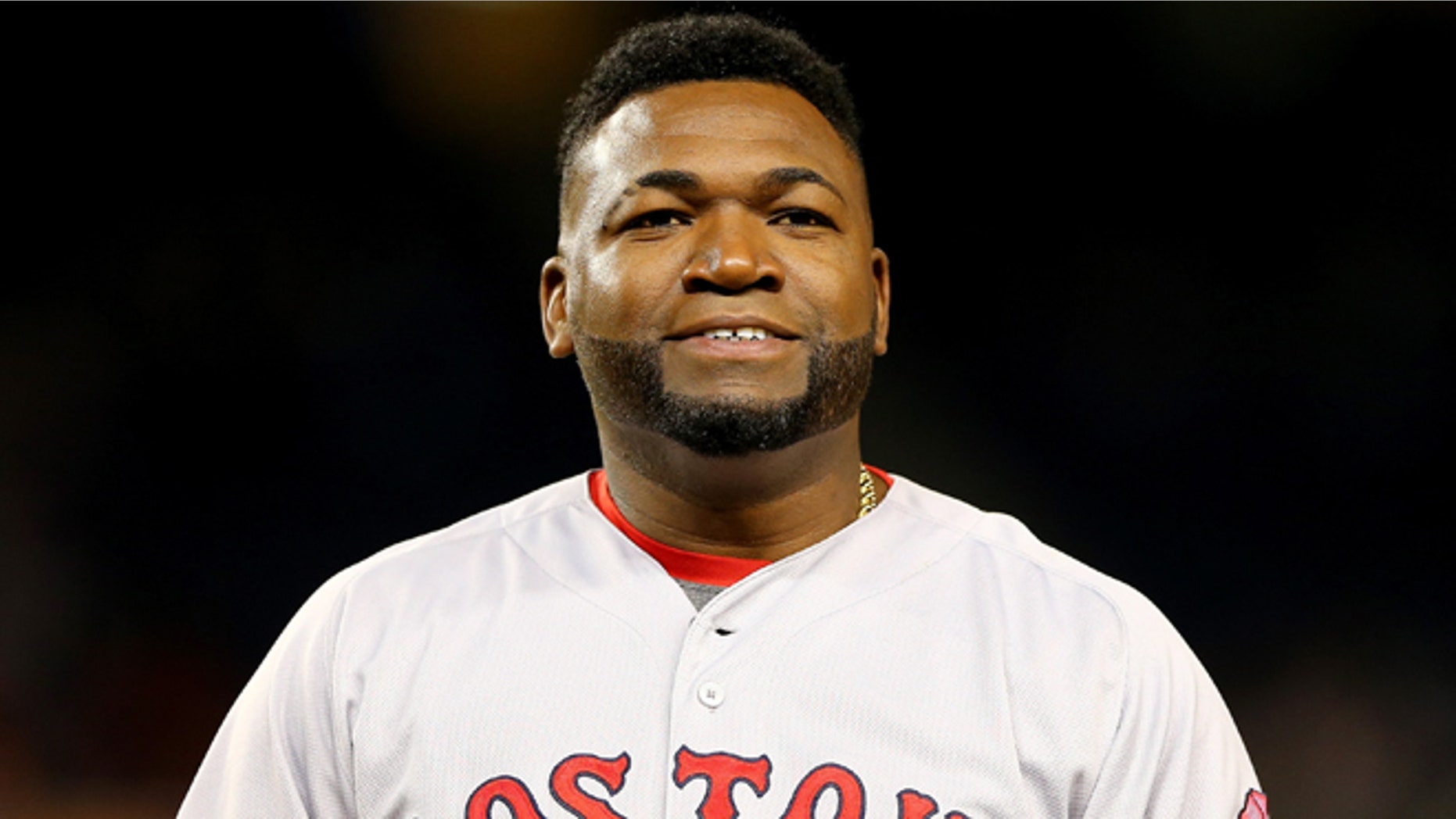 David Ortiz on September 30, 2015 at Yankee Stadium in the Bronx borough of New York City.