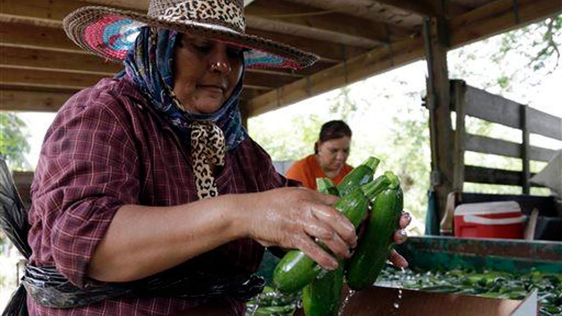 Seeded vegetables are a problem when it comes to salmonella.