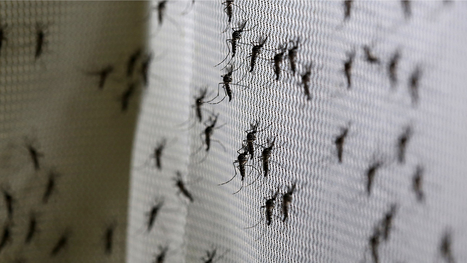 Tech mogul Bill Gates will use funds from his own charity organization to eradicate malaria "within a generation."