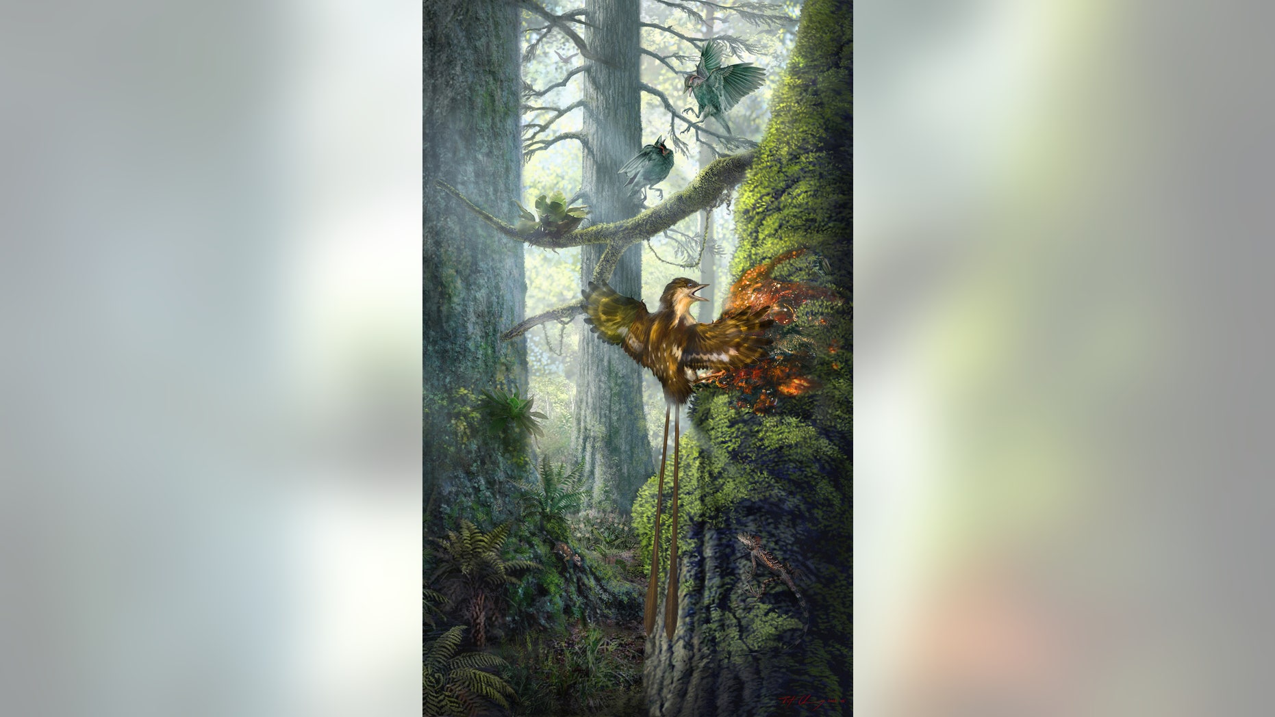 An ancient, hummingbird-size bird got its wing stuck in sticky tree resin and likely struggled for its life about 99 million years ago. Researchers nicknamed this specimen "Angel Wing."