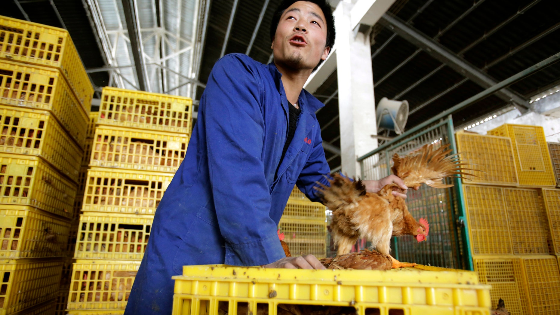A worker unloads a chicken from a container at a wholesale market in Shanghai, China.