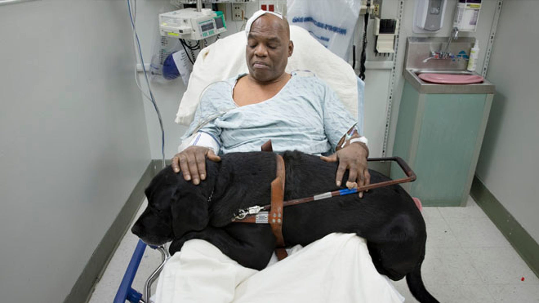 Dec. 17: Cecil Williams pets his guide dog Orlando in his hospital bed following a fall onto subway tracks from the platform in New York.