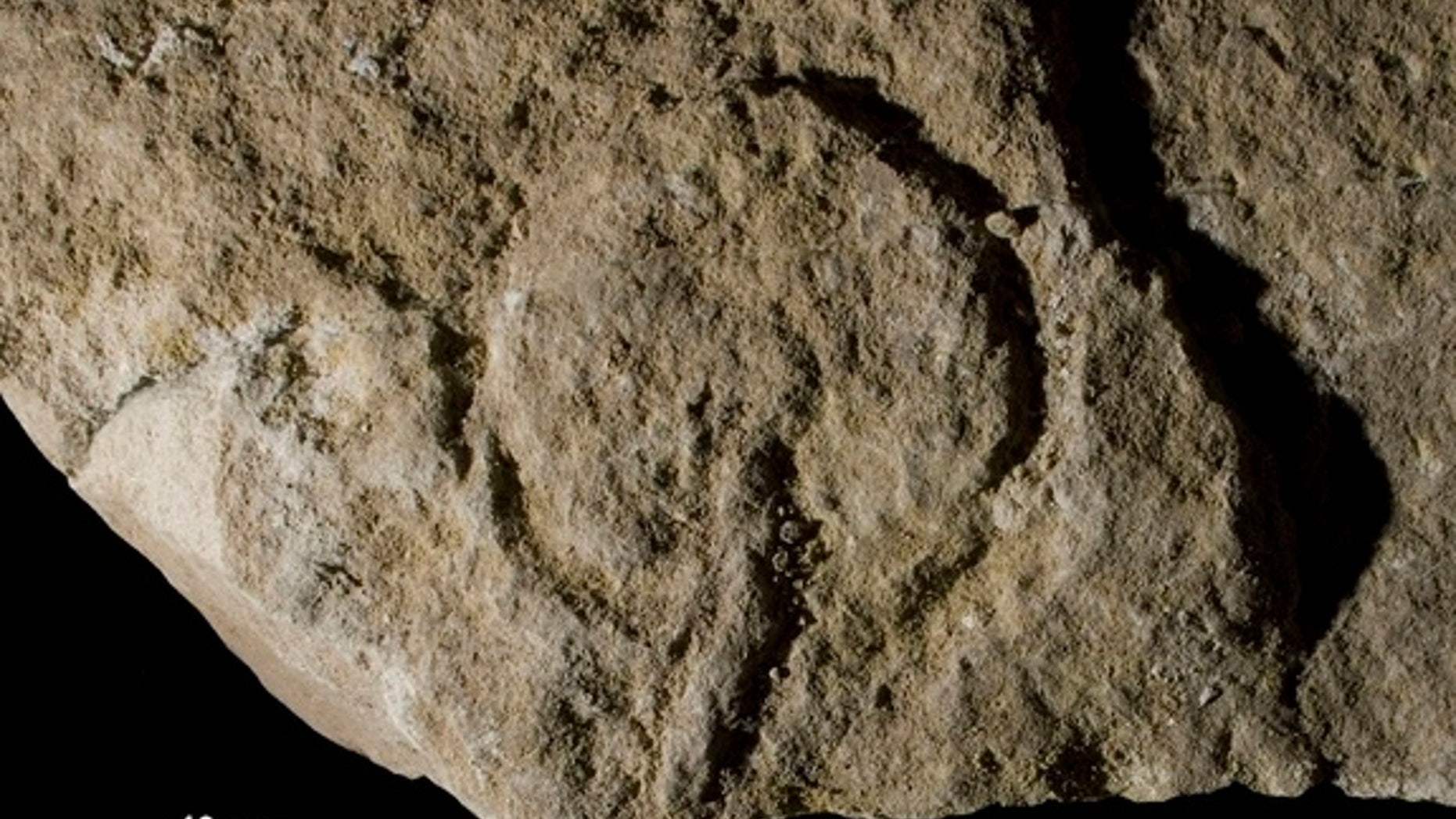 A carved image of female genitalia from Abri Castanet.