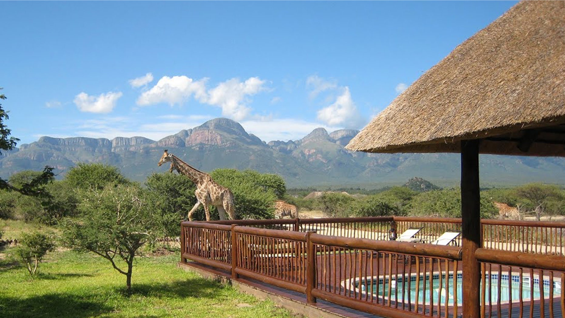 A giraffe trampled on a mother and her son near their home on the Blyde Wildlife Estate near Hoedspruit, South Africa.