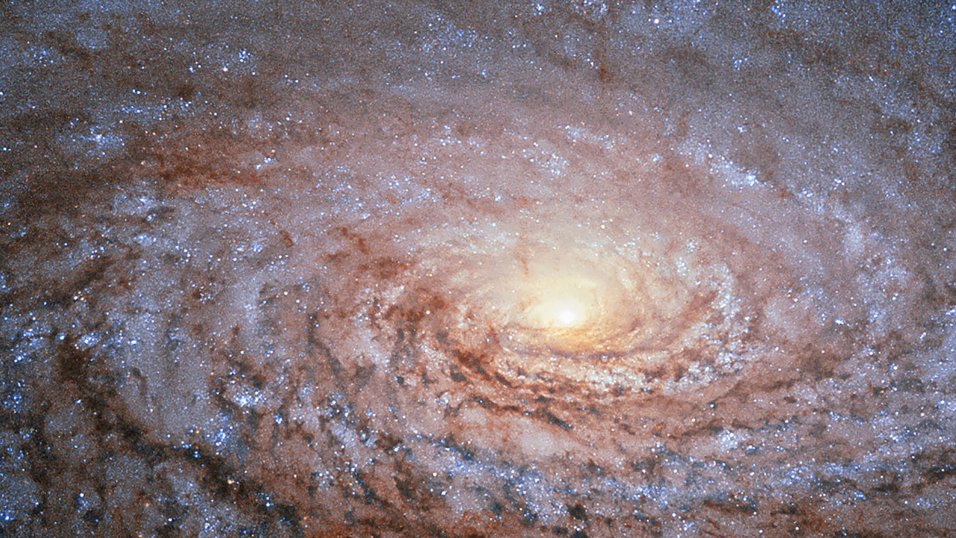 File photo. The galaxy Messier 63 - nicknamed the Sunflower Galaxy - is seen in an undated image from the NASA/ESA Hubble Space Telescope released September 11, 2015.