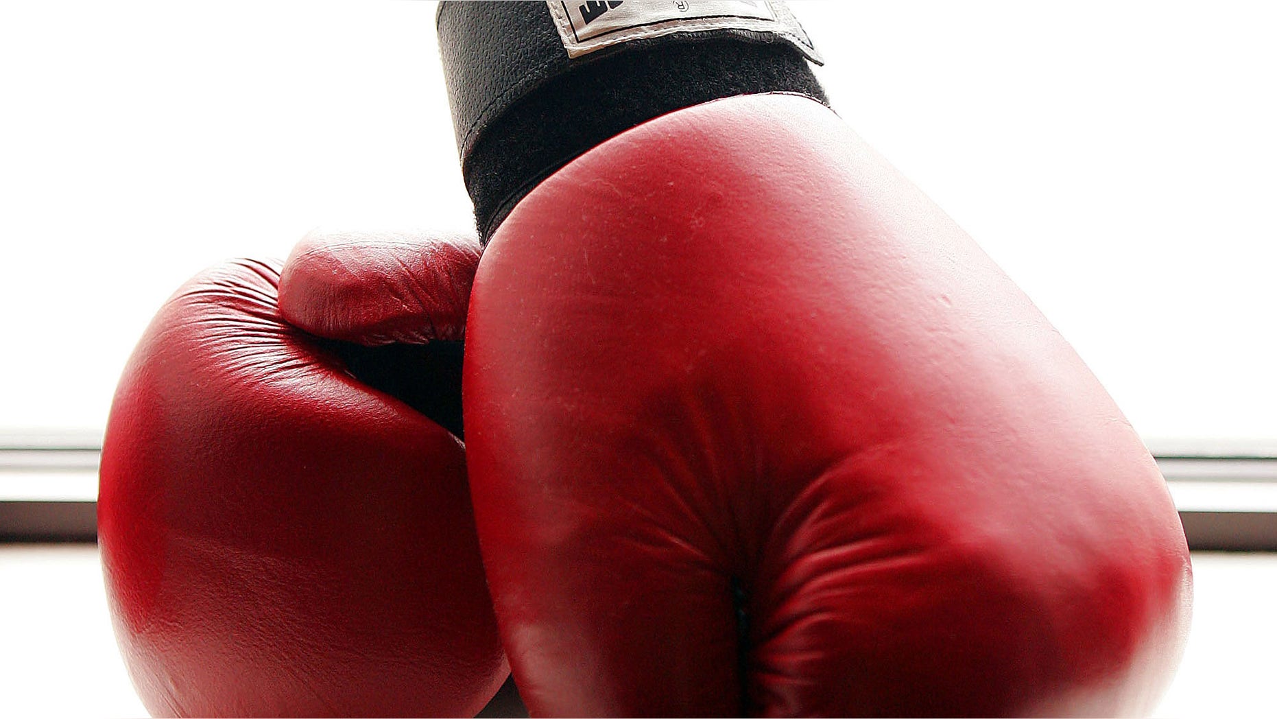 NEW YORK - AUGUST 26: Boxing gloves at the Aerospace Performance Center on August 26, 2005 in New York City. (Photo by Scott Gries/Getty Images)