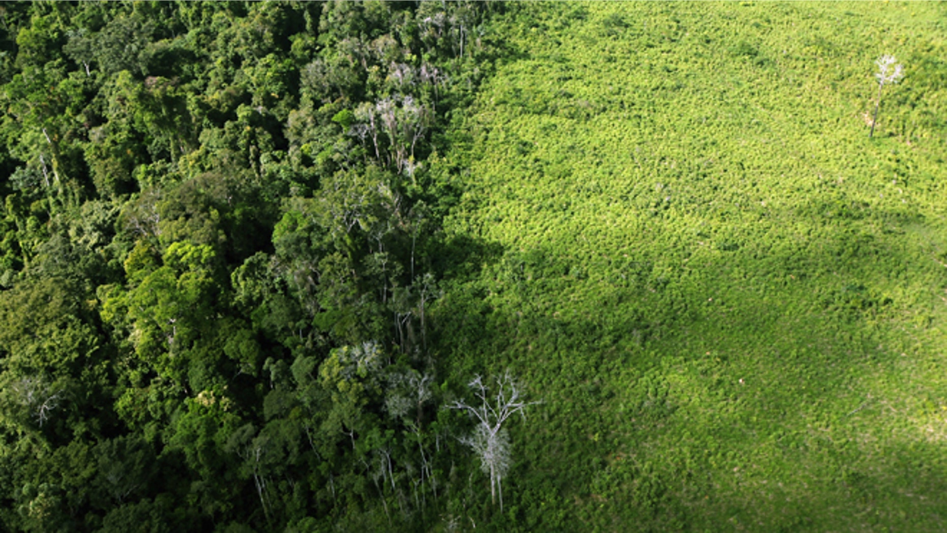 NEAR ALTAMIRA, BRAZIL - JUNE 15: A deforested section of Amazon rainforest (R) is seen near the area where the Belo Monte dam complex is under construction in the Amazon basin on June 15, 2012 near Altamira, Brazil. Belo Monte will be the world?s third-largest hydroelectric project and will displace up to 20,000 people while diverting the Xingu River and flooding as much as 230 square miles of rainforest. The controversial project is one of around 60 hydroelectric projects Brazil has planned in the Amazon to generate electricity for its rapidly expanding economy. While environmentalists and indigenous groups oppose the dam, many Brazilians support the project. The Brazilian Amazon, home to 60 percent of the world?s largest forest and 20 percent of the Earth?s oxygen, remains threatened by the rapid development of the country. The area is currently populated by over 20 million people and is challenged by deforestation, agriculture, mining, a governmental dam building spree, illegal land speculation including the occupation of forest reserves and indigenous land and other issues. Over 100 heads of state and tens of thousands of participants and protesters will descend on Rio de Janeiro, Brazil, later this month for the Rio+20 United Nations Conference on Sustainable Development or ?Earth Summit?. Host Brazil is caught up in its own dilemma between accelerated growth and environmental preservation. (Photo by Mario Tama/Getty Images)