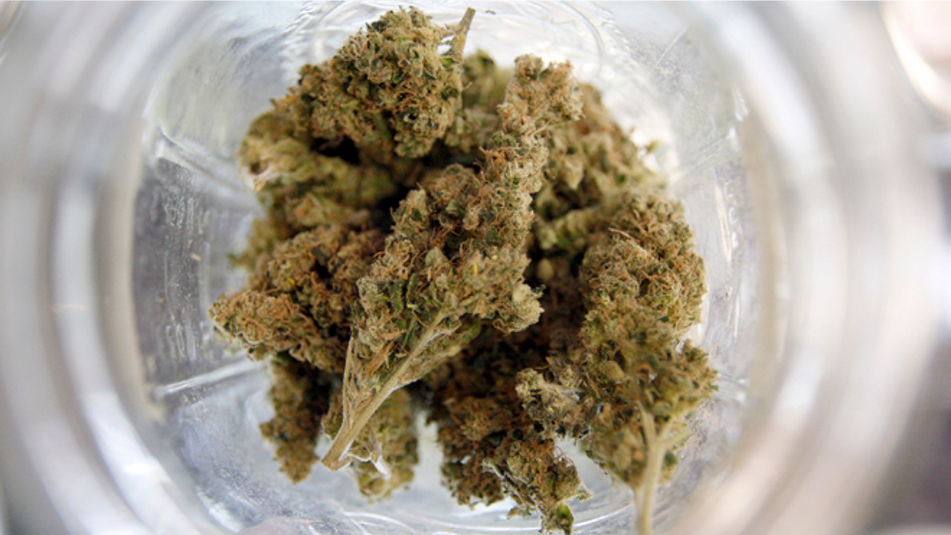 LOS ANGELES, CA - JULY 25: Marijuana is seen in a jar at Perennial Holistic Wellness Center medical marijuana dispensary, which opened in 2006, on July 25, 2012 in Los Angeles, California. The Los Angeles City Council has unanimously voted to ban storefront medical marijuana dispensaries and to order them to close or face legal action. The council also voted to instruct staff to draw up a separate ordinance for consideration in about three months that might allow dispensaries that existed before a 2007 moratorium on new dispensaries to continue to operate. It is estimated that Los Angeles has about one thousand such facilities. The ban does not prevent patients or cooperatives of two or three people to grow their own in small amounts. Californians voted to legalize medical cannabis use in 1996, clashing with federal drug laws. The state Supreme Court is expected to consider ruling on whether cities can regulate and ban dispensaries. (Photo by David McNew/Getty Images)