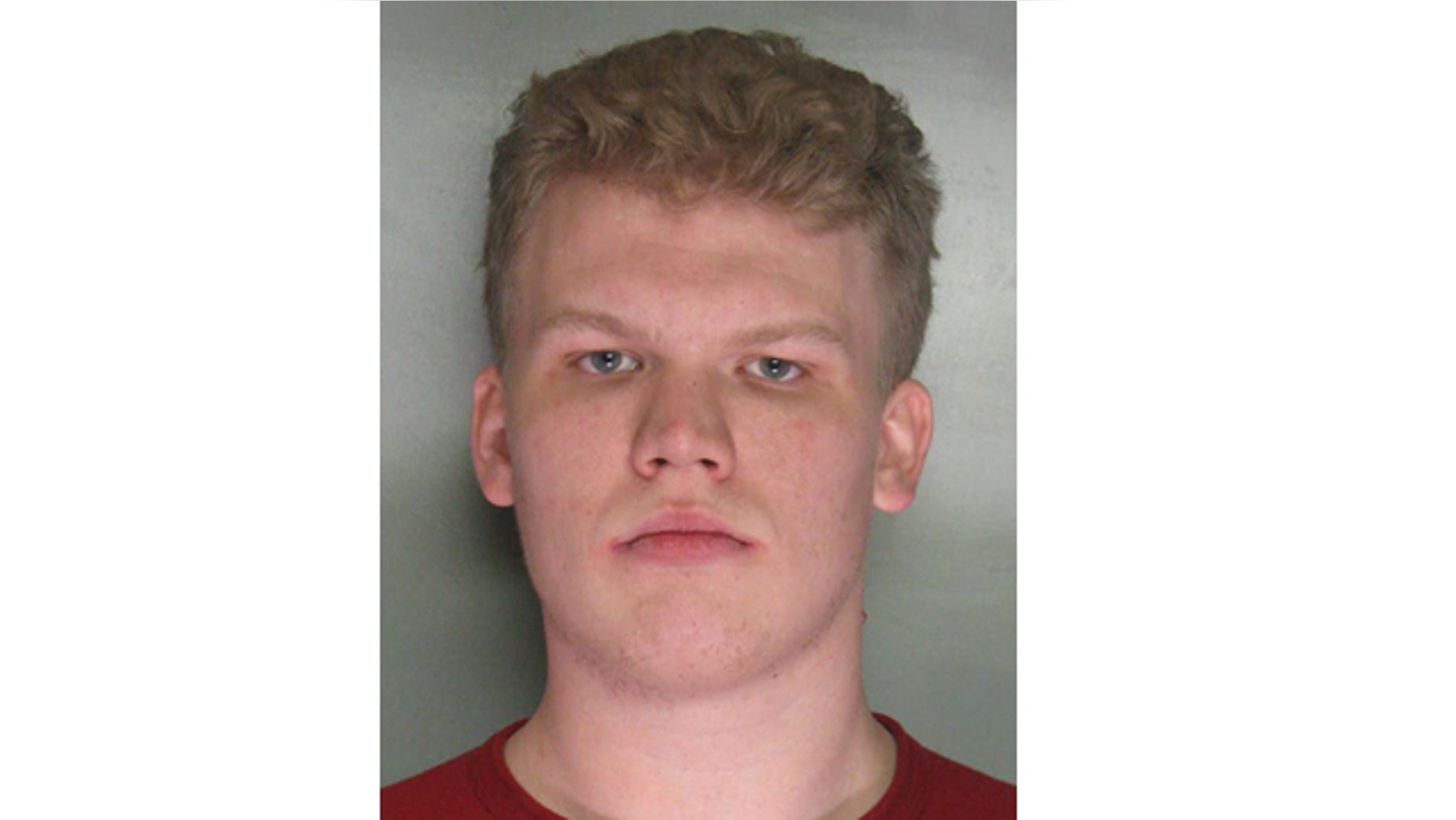 George Samuel Bronk, 23, of Citrus Heights, faces six years in state prison after entering guilty pleas today in Sacramento Superior Court to seven felonies including computer intrusion, false impersonation and possession of child pornography.