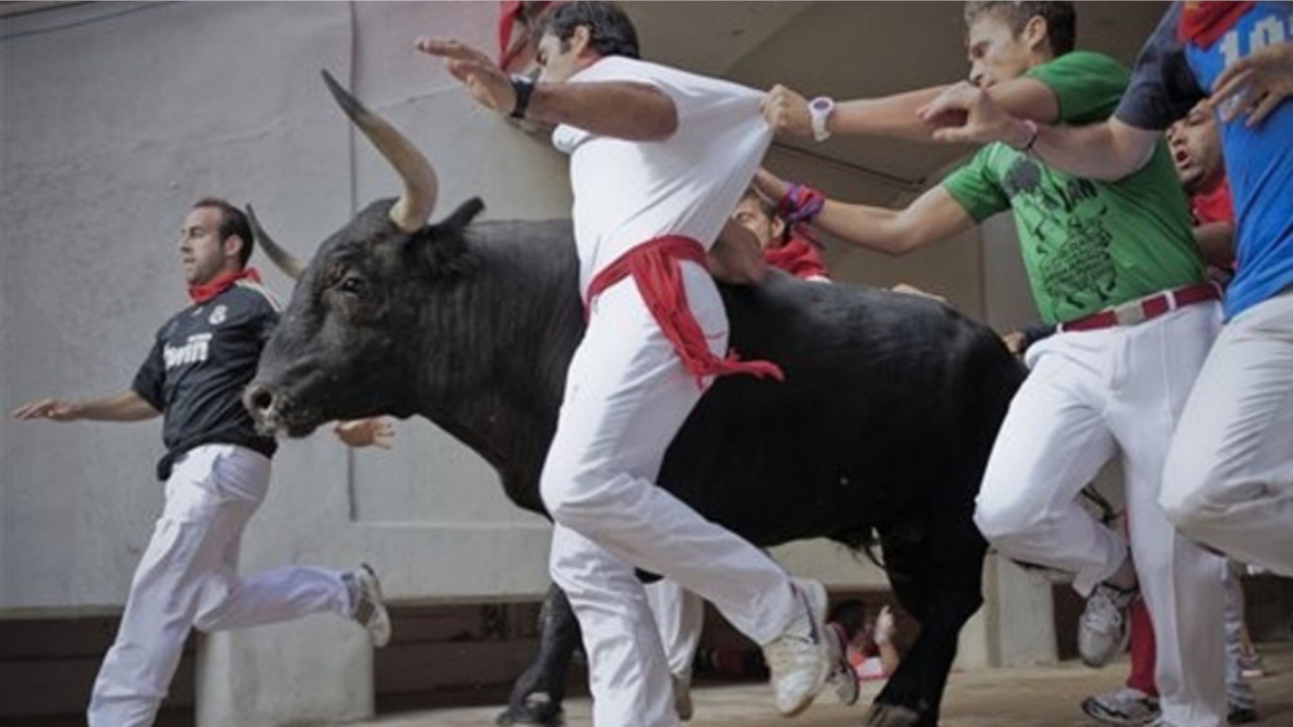 Earlier this month, revelers run next to a Nunez del Cubillo's ranch fighting bull during the final running of the bulls at the San Fermin fiestas.