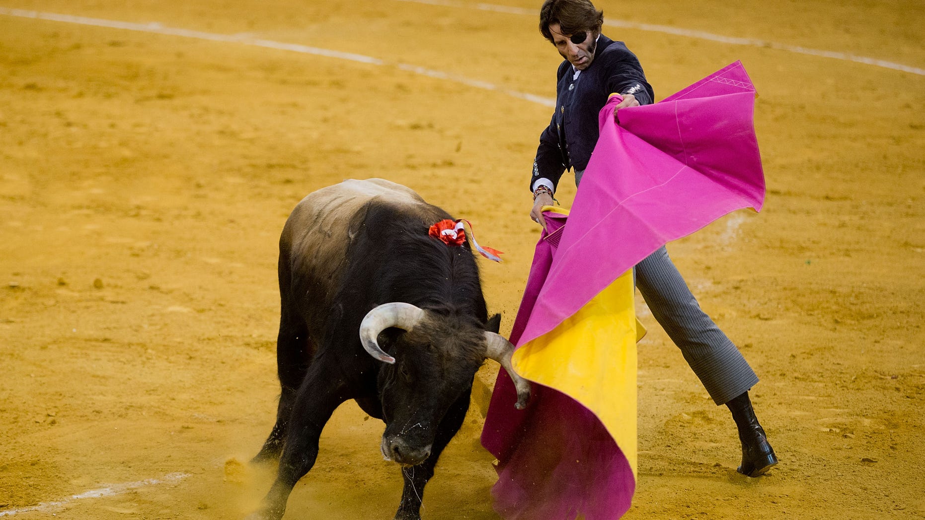 Watch Four injured when angry bull jumps into crowd during bullfight