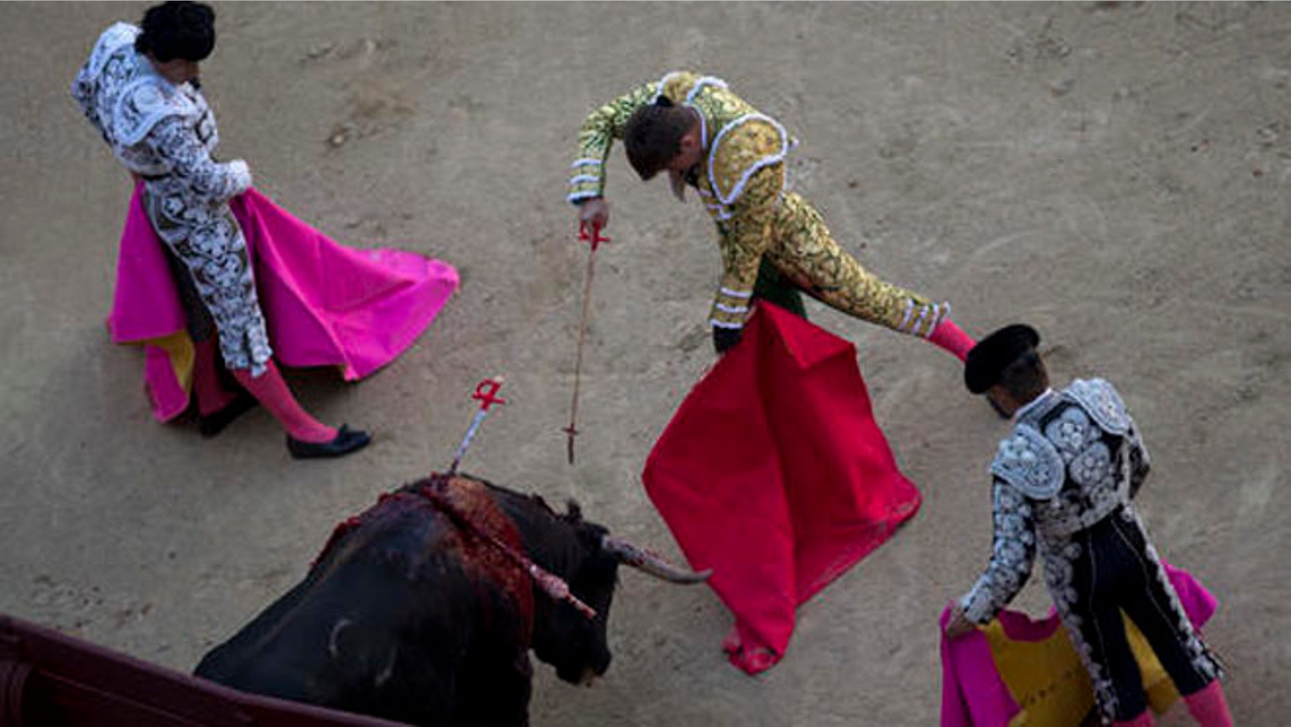 In this photo taken on Sunday, May 1, 2016, Spanish bullfighter Alvaro Garcia kills a Conde de Mayalde ranch's fighting bull during a bullfight at the Las Ventas bullring in Madrid, Spain. As matadors face half-ton bulls this month during Madrid's most important annual series of bullfights and Pamplona gears up for its chaotic July bull runs, tensions are building between anti-bullfighting forces and the traditions' defenders. (AP Photo/Francisco Seco)