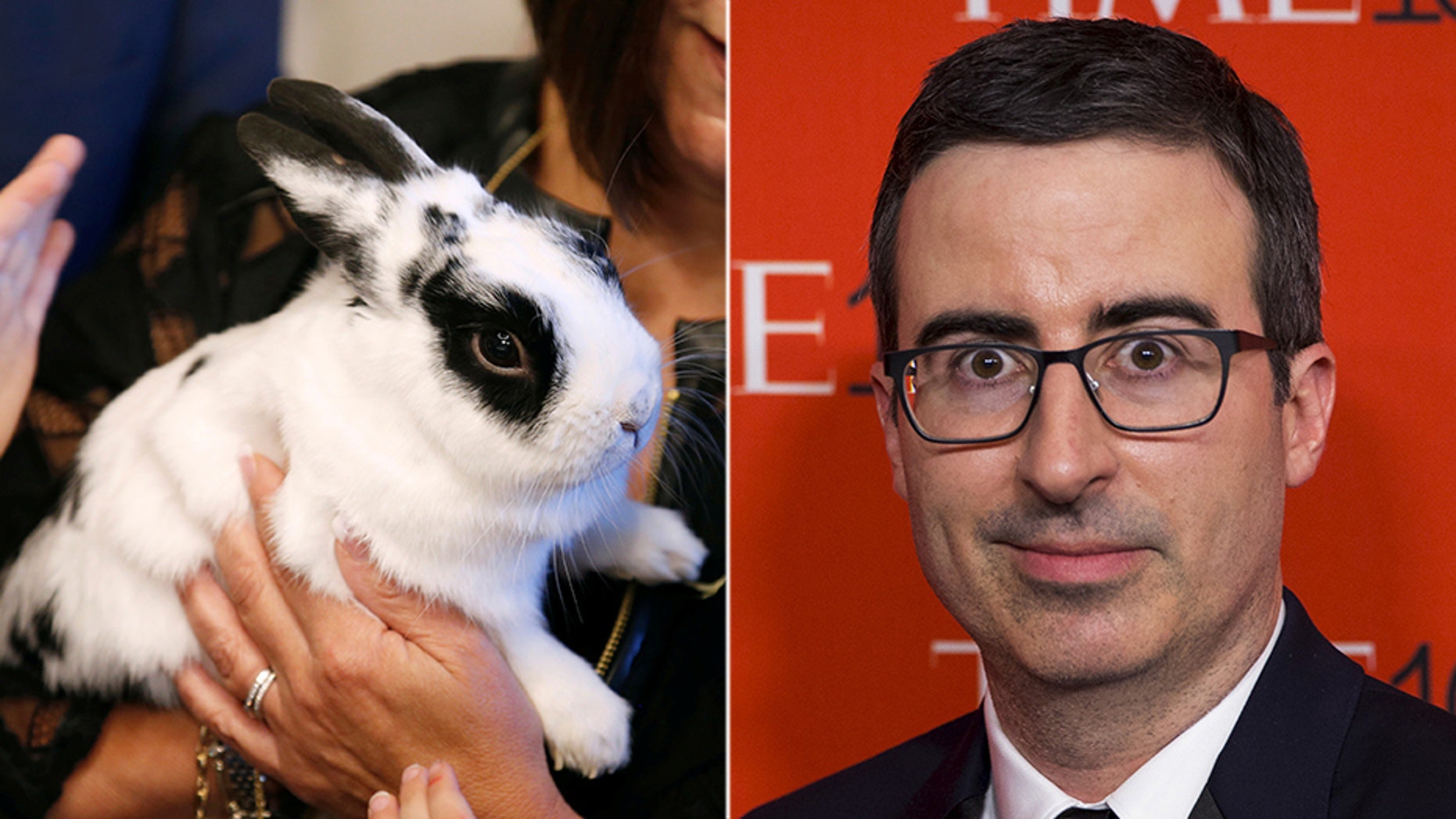 Comedian John Oliver faced backlash over a children's book that Vice President Mike Pence's daughter wrote -- about the family's rabbit.