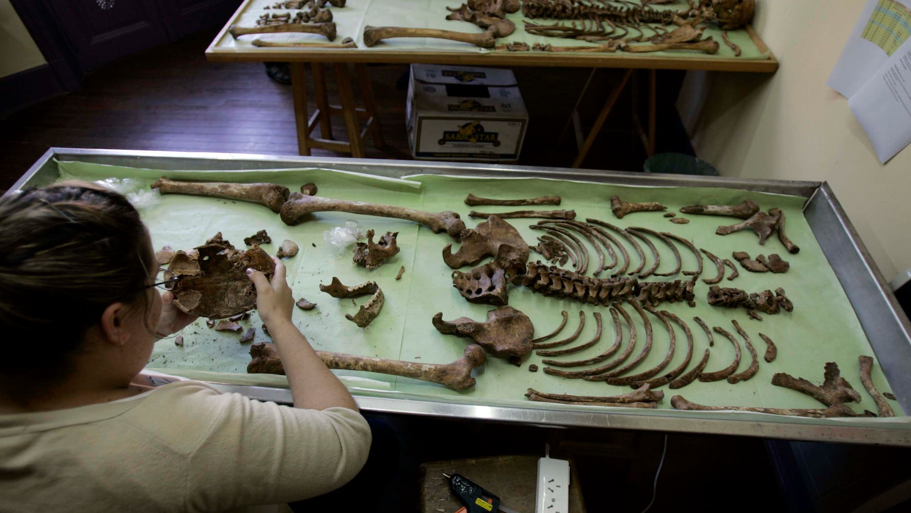 March 11, 2008 FILE photo. Mariana Selva, from the independent Argentine Forensic Anthropology Team, examines an unidentified skeleton at a forensic lab as part of an effort to identify the victims of Argentina's Dirty War in Buenos Aires, Argentina.