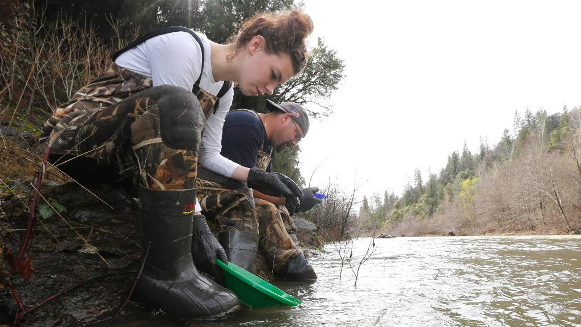 In this photo taken Tuesday, March 4, 2014 Tim Amavisca, 38, and his daughter Hailey, 15, pan for gold along the Bear River near Colfax, Calif. Amavisca is among the amateur prospectors that have flocked to the Sierra Nevada foothills that, due to the historic drought, are taking advantage of the lower water levels to search for gold in riverbeds that have been unreachable for decades.(AP Photo/Rich Pedroncelli)