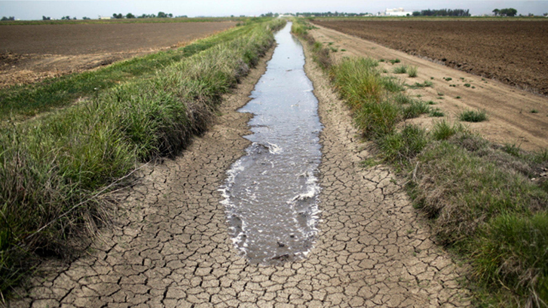 FILE - This May 1, 2014, file photo shows irrigation water running along a dried-up ditch between rice farms in Richvale, Calif. (AP Photo/Jae C. Hong, File)