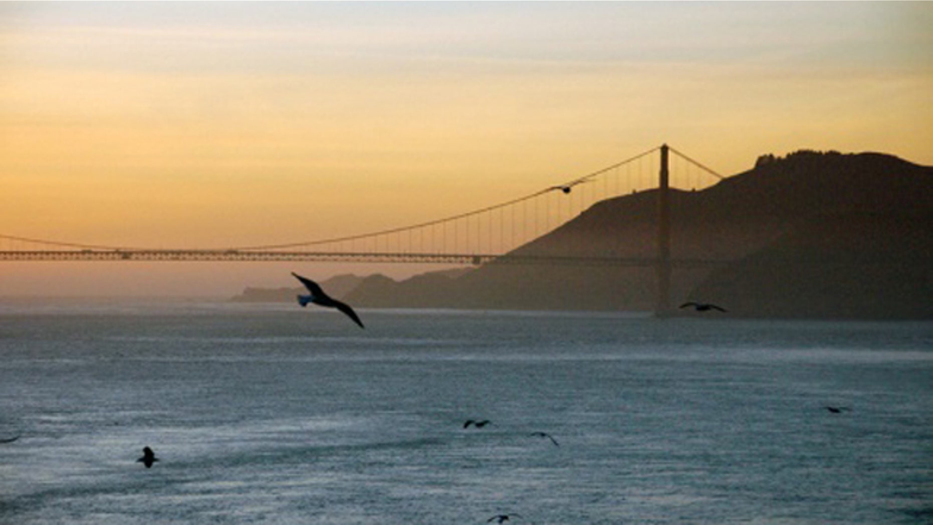 Alfred Hitchcock would have appreciated this twist: As the climate warms, the birds should shrink, climate scientists predict. So why are the birds in central California getting bigger?