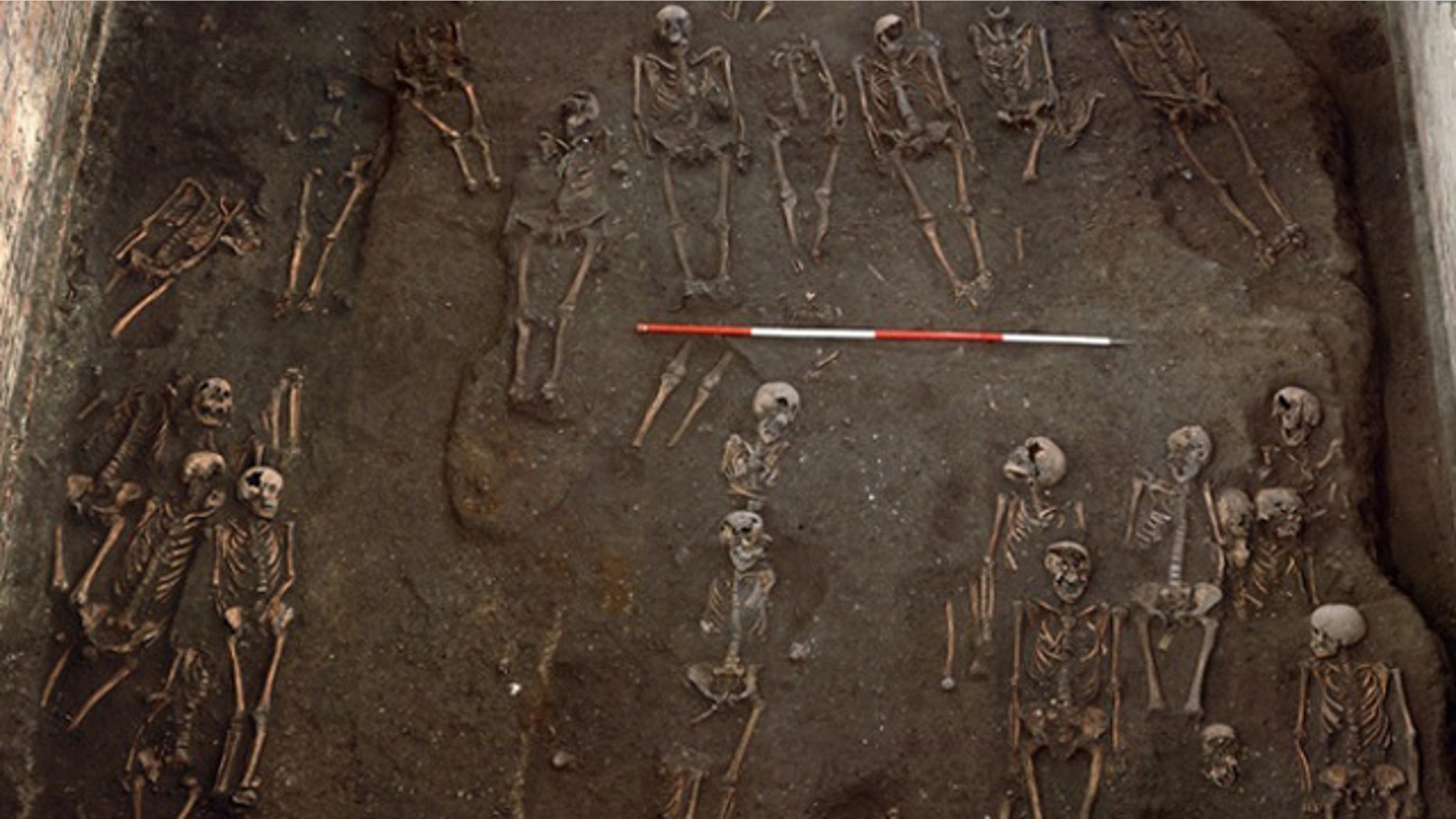 This photo shows some of the skeletons unearthed during the excavation of a medieval cemetery at St. John's College, University of Cambridge in England. (St. John's College, University of Cambridge/Press Association)