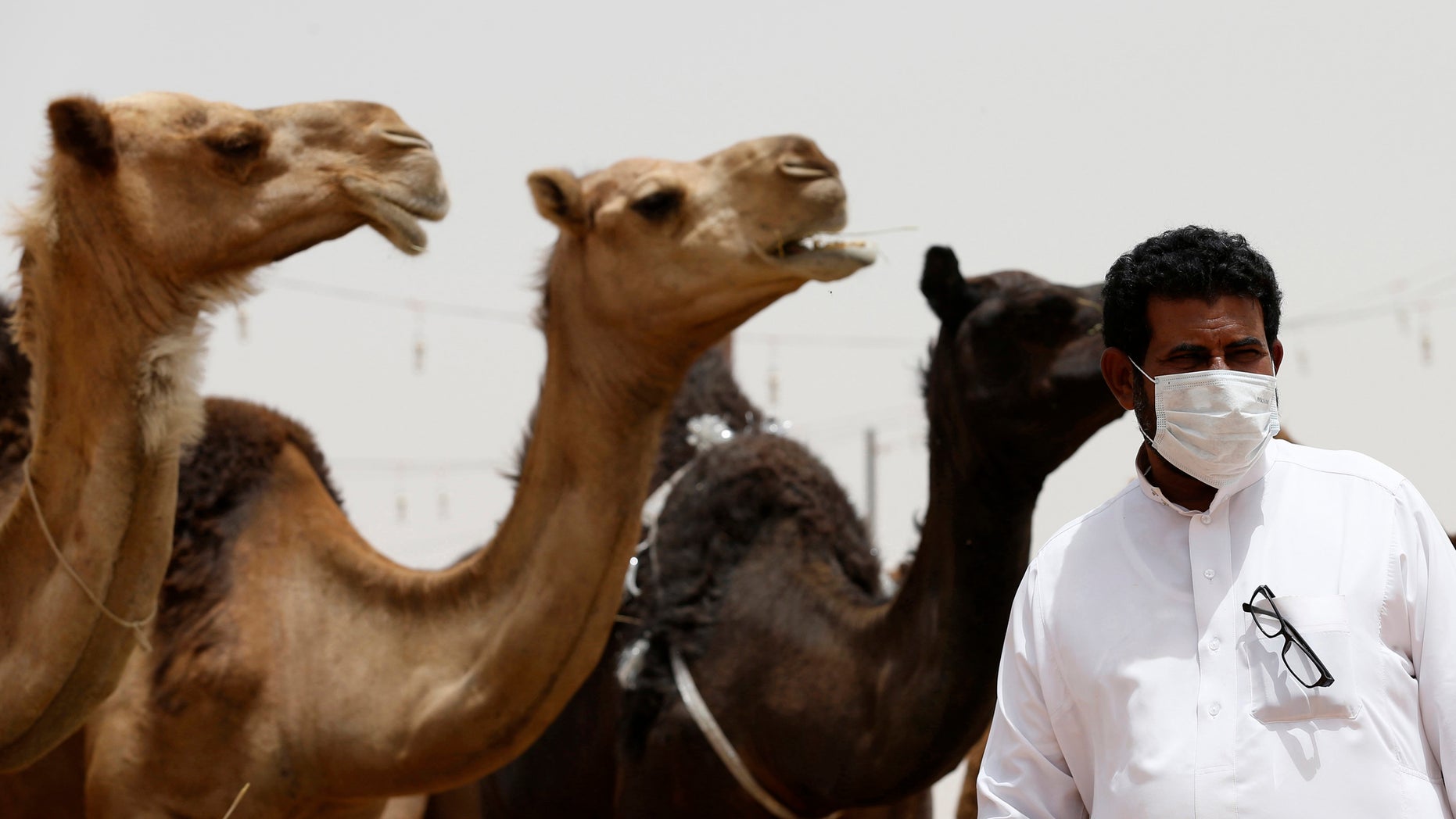 A man wearing a mask looks on as he stands in front of camels at a camel market in the village of al-Thamama near Riyadh May 11, 2014. (REUTERS/Faisal Al Nasser)