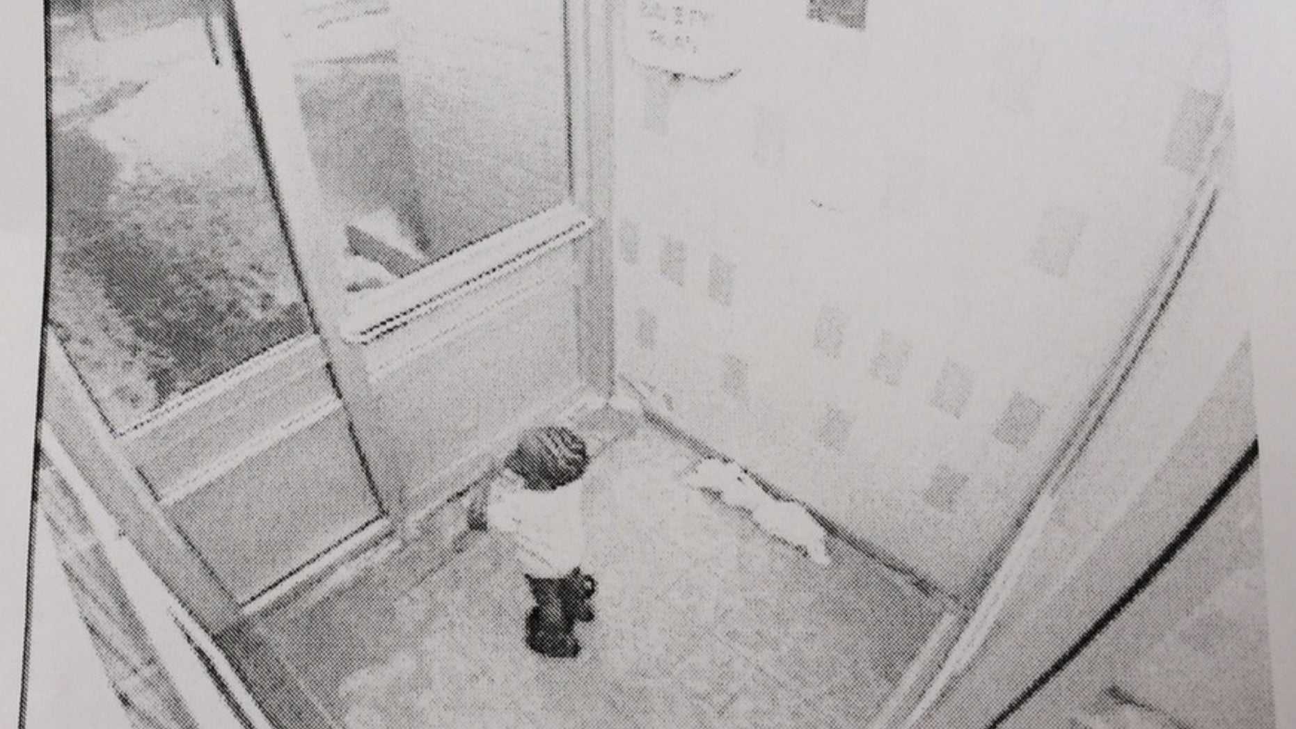 In this frame grab from security camera video provided by the Toronto Police Service via The Canadian Press, 3-year-old Elijah stands in an apartment building lobby, early Thursday, Feb. 19, 2015, in Toronto. Elijah was found dead later Thursday morning after wandering away from the apartment building into bitterly cold weather. (AP Photo/Toronto Police Service via The Canadian Press)