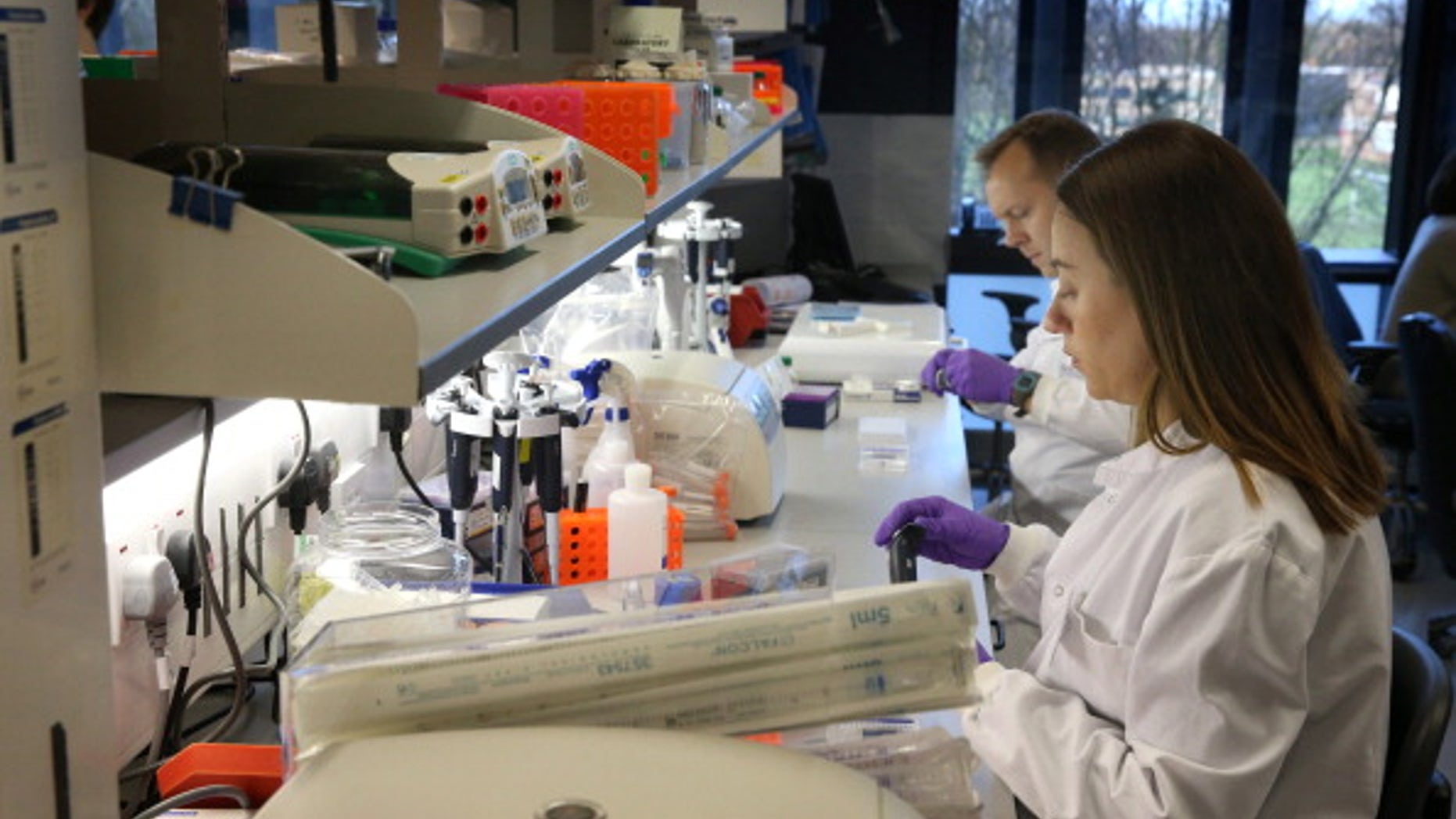 CAMBRIDGE, UNITED KINGDOM - DECEMBER 10: Researchers Dr Sarah-Jane Dawson (R) and Dr Tim Forshew work at the Cancer Research UK Cambridge Research Institute on December 10, 2012 in Cambridge, England. The government has announced GBP £100million of funding to enable 100,000 patients with cancer and rare diseases to have their entire genetic code sequenced. (Photo by Peter Macdiarmid - WPA Pool/Getty Images)