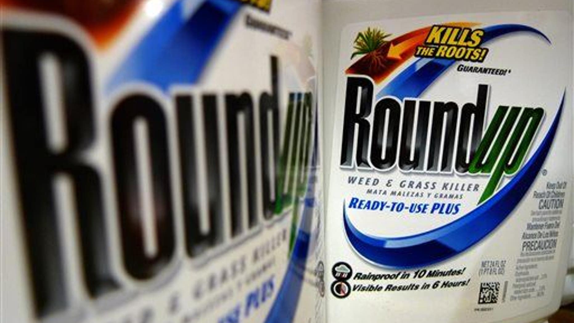 This June 28, 2011, file photo shows bottles of Roundup herbicide, a product of Monsanto, on a store shelf in St. Louis.