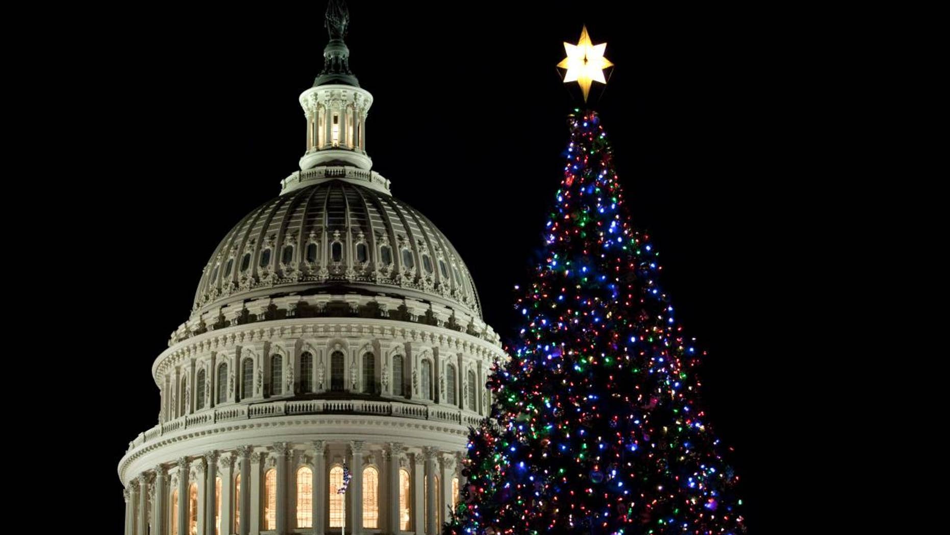 The U.S. Capitol Christmas tree is seen after a lighting ceremony on Tuesday, Dec. 7, 2010, in Washington. (AP Photo/Evan Vucci)